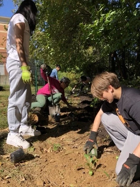 IMG_8677 Medium.jpeg