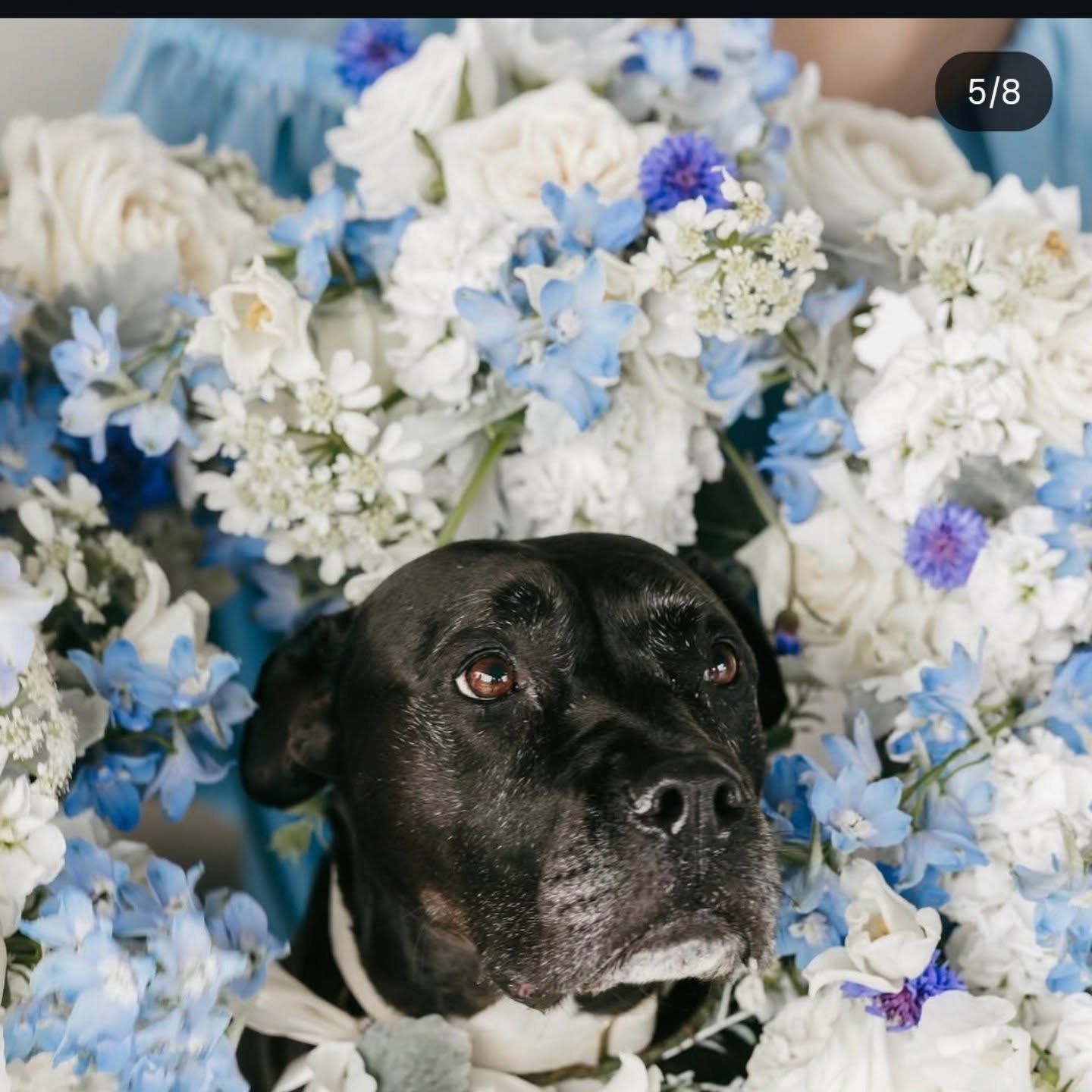 nair wedding.jpg