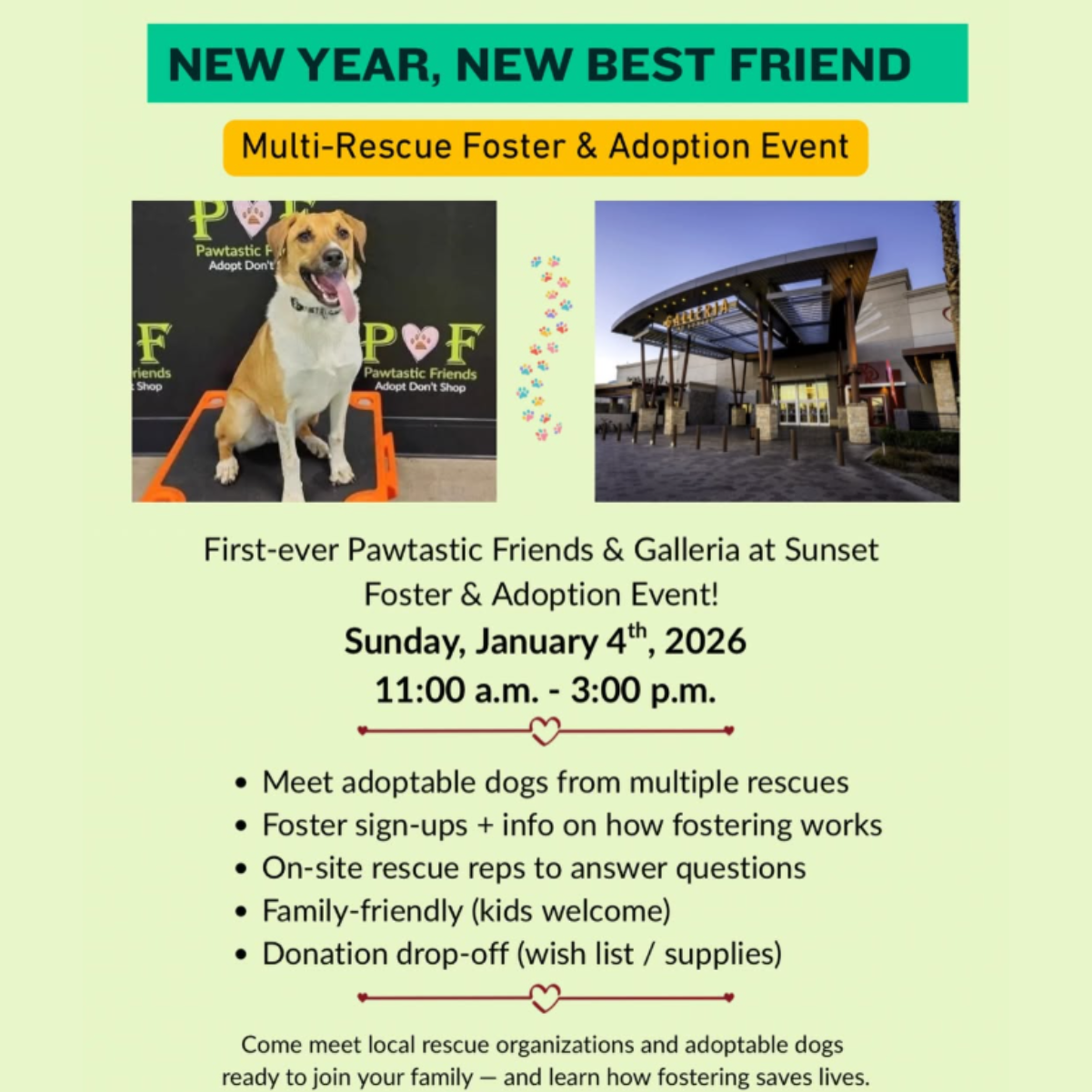 pawtastic Multi-Rescue Foster &amp; Adoption Event