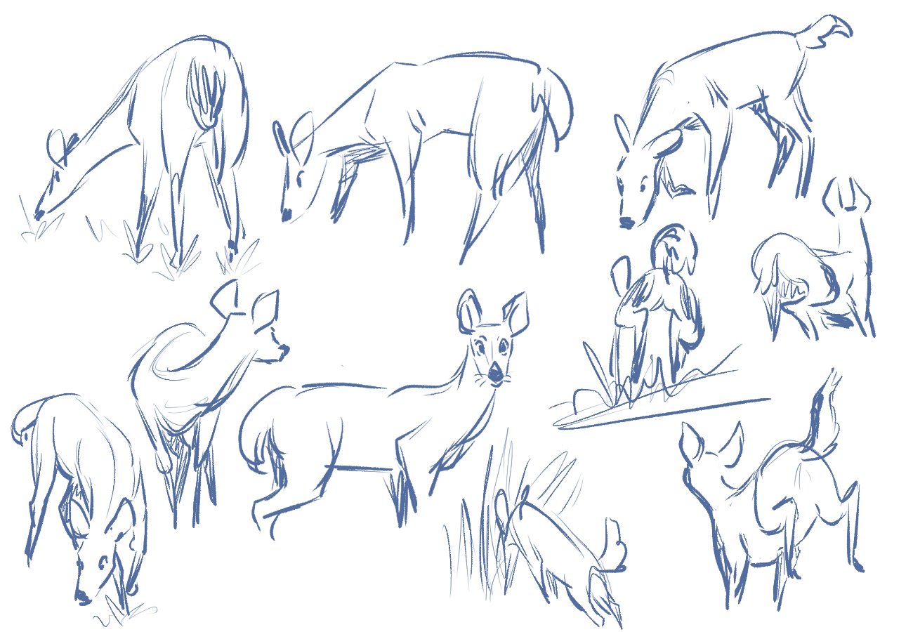 2026_06_05 Deer Studies for portfolio a.jpg