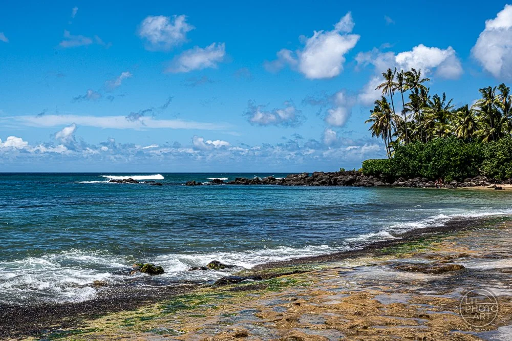 North Shore Coastline