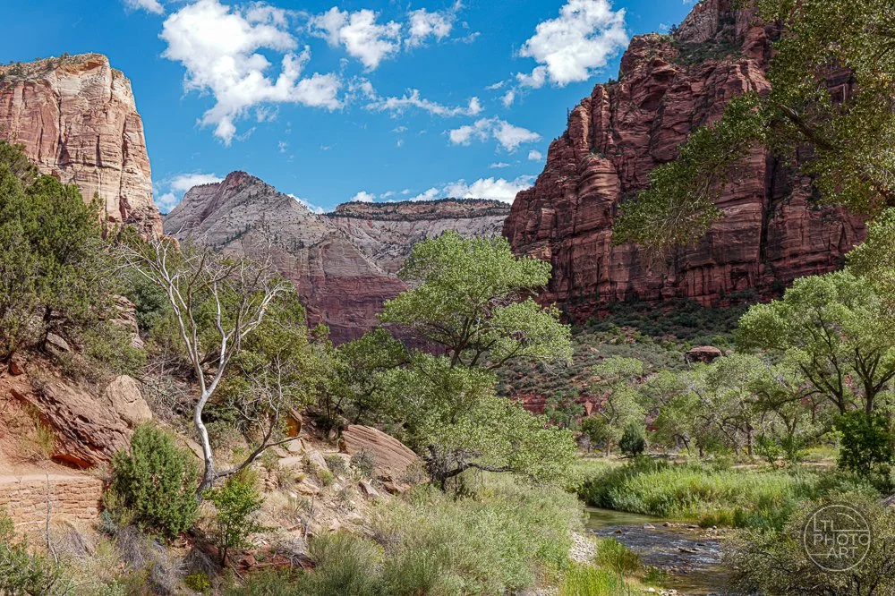 virgin-river-through-zion.jpg