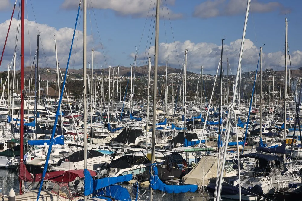 Boats in the Harbor
