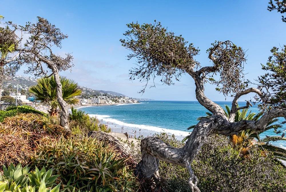 Framed Coastline from Heisler Park