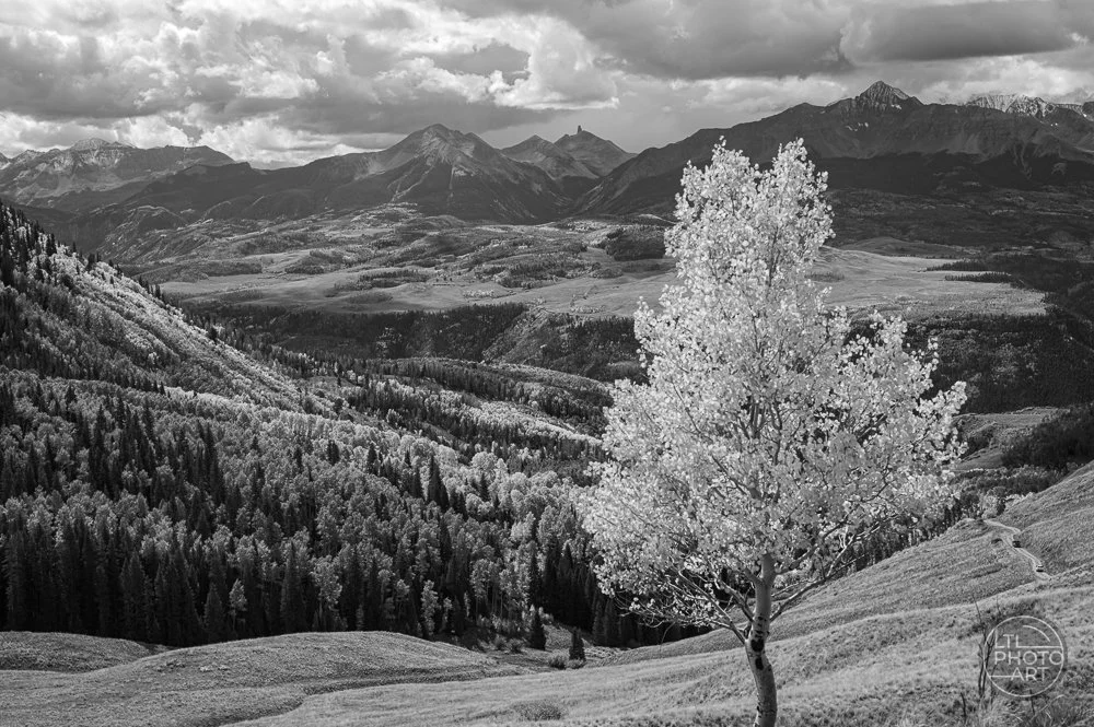 Autumn Backroad to Telluride