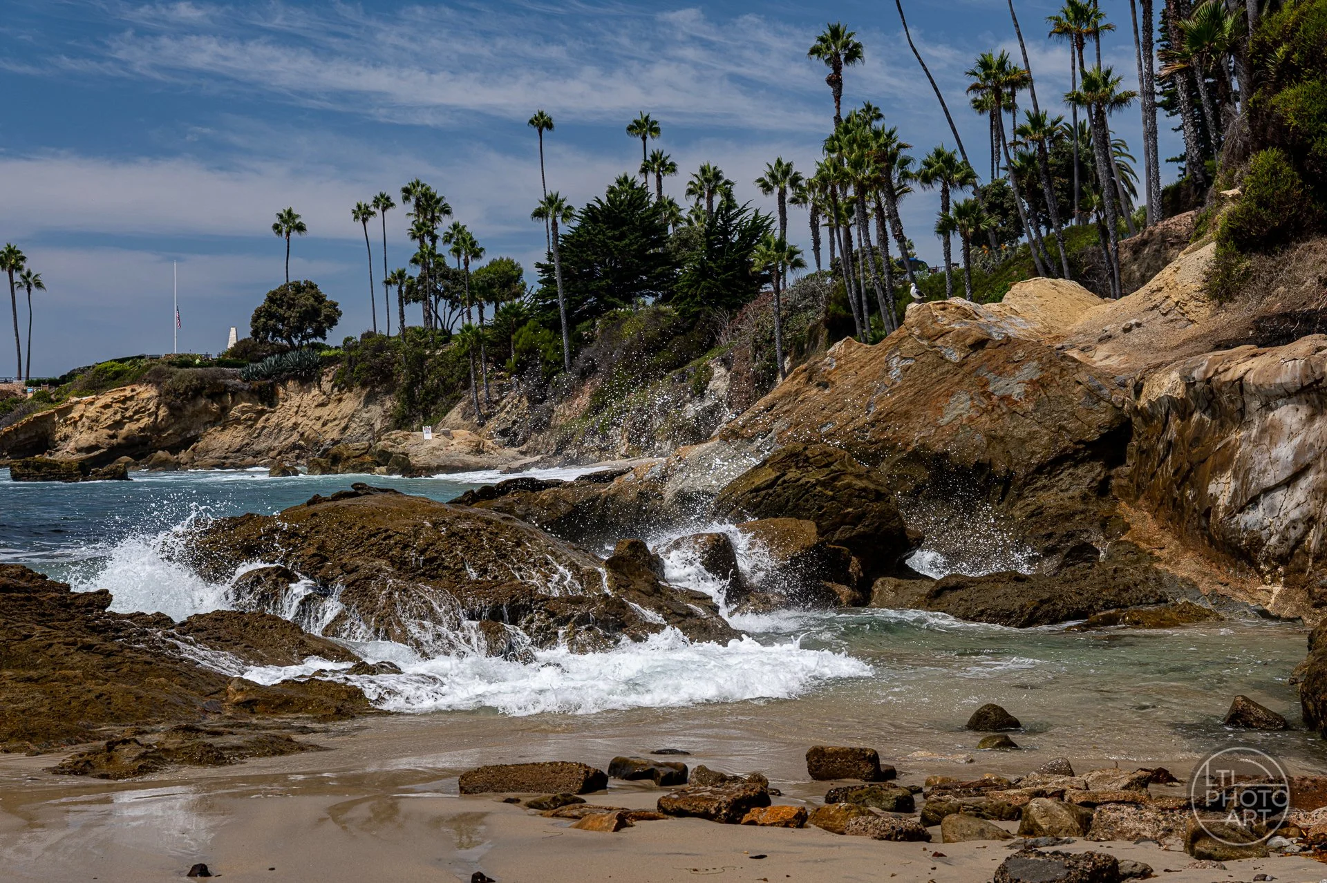Gull standing on coastal rocks above tide pools and breaking surf at the south end of Rockpile Beach in Laguna Beach, California.