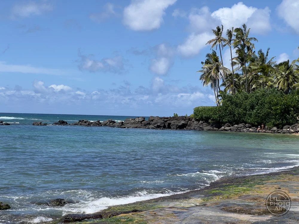 Laniakea Beach