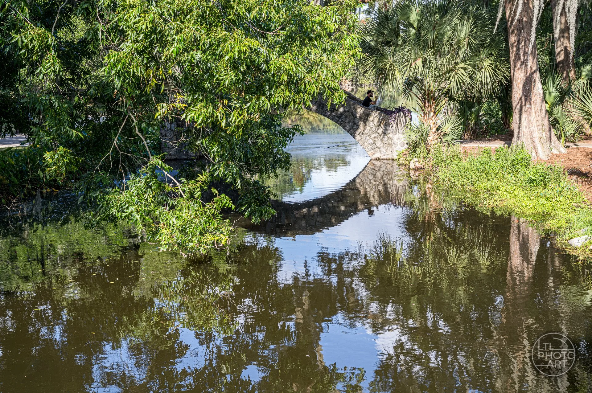 Person sitting on a stone bridge above reflective water in City Park, New Orleans, surrounded by trees and palms.