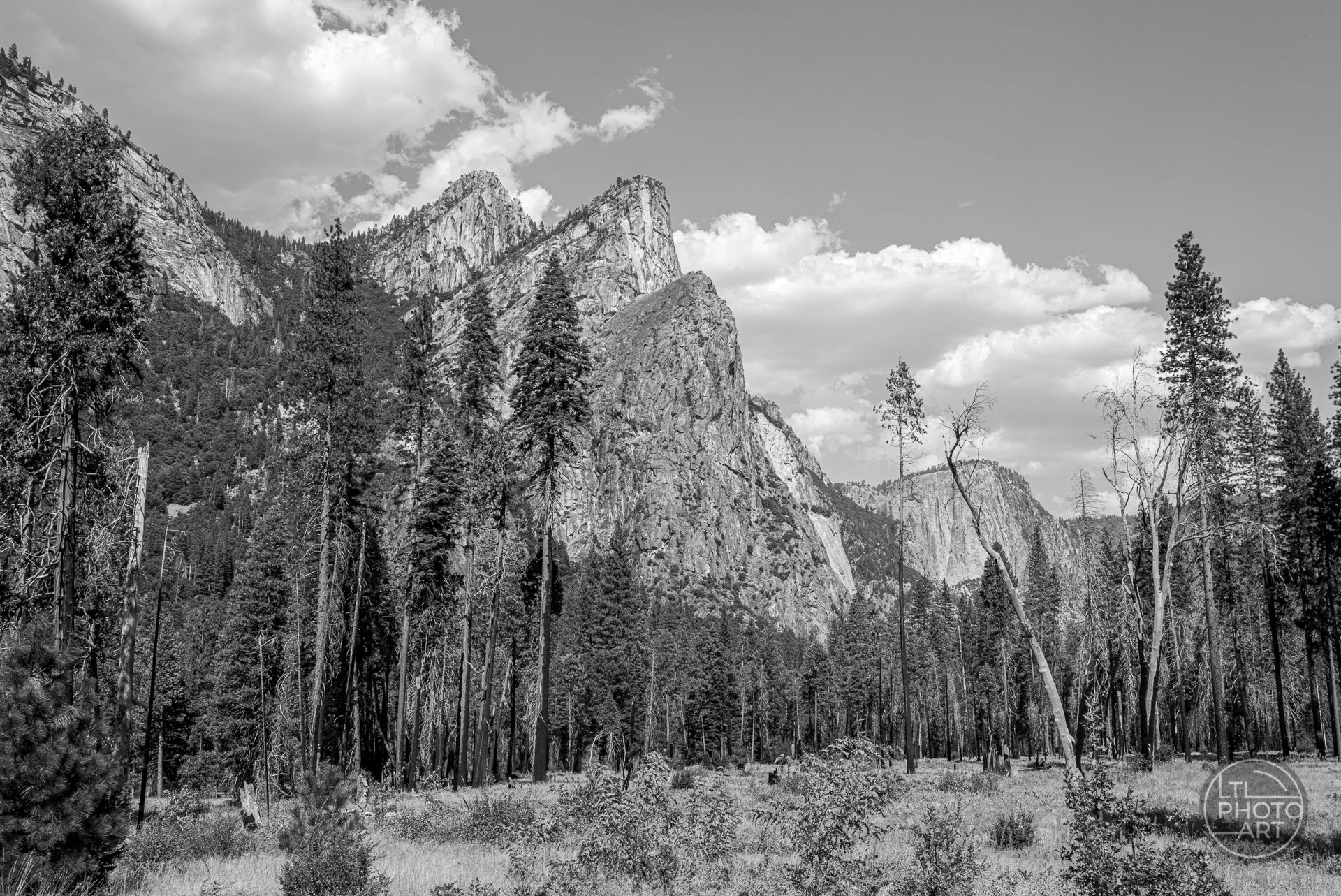 Black-and-white photograph of the Three Brothers granite peaks rising above a forest of pine trees in Yosemite National Park, California, with textured clouds in the background.