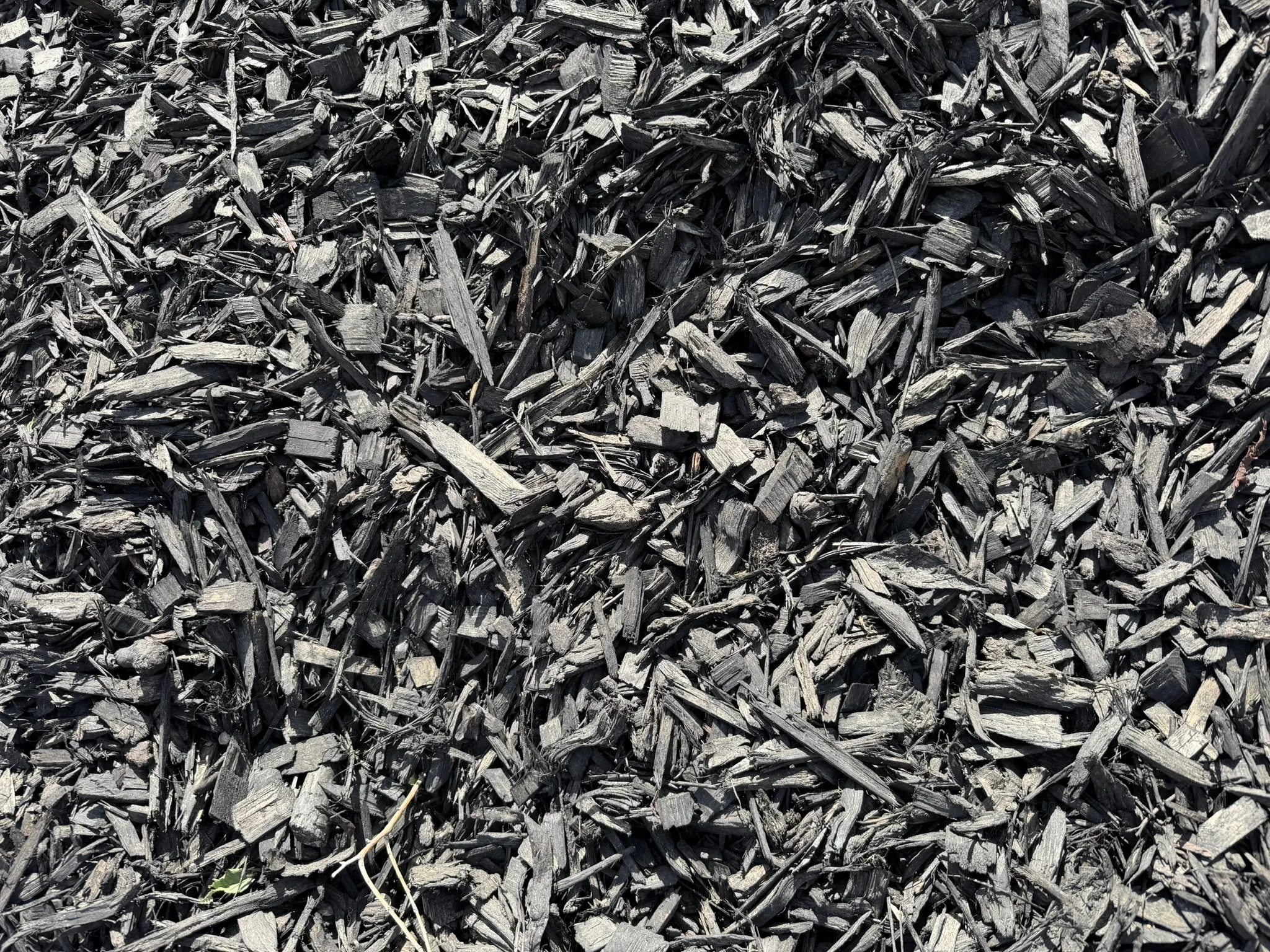 Black Painted Mulch