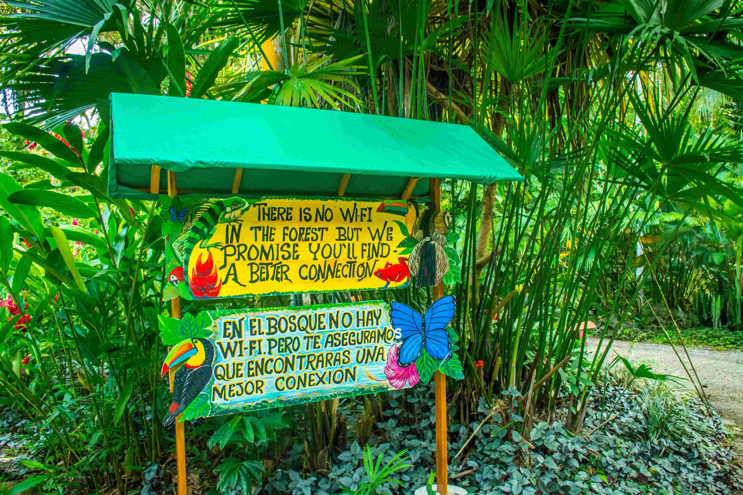 Grounds 14.jpg