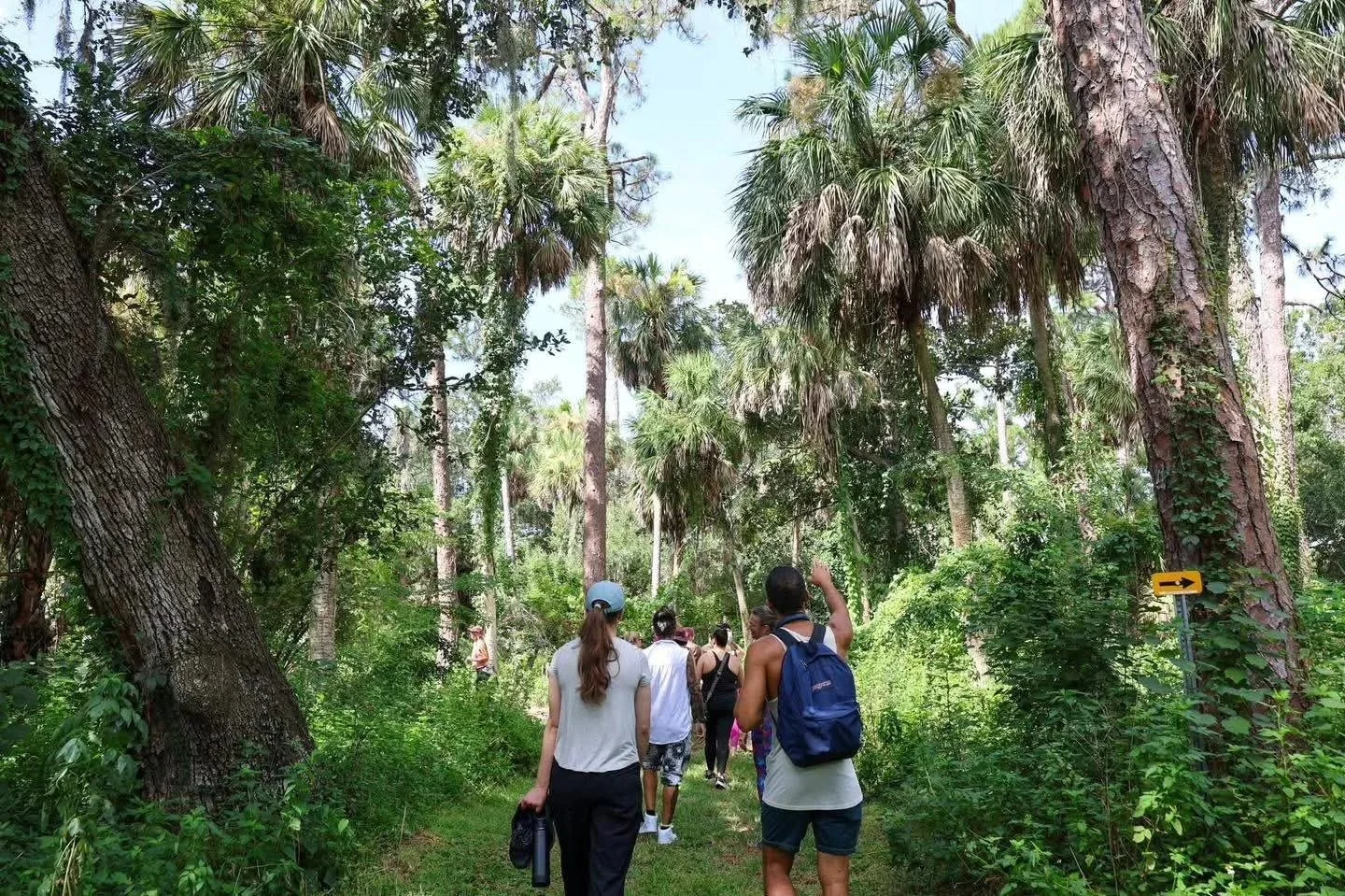 ZenHike Retreat 4.11.26