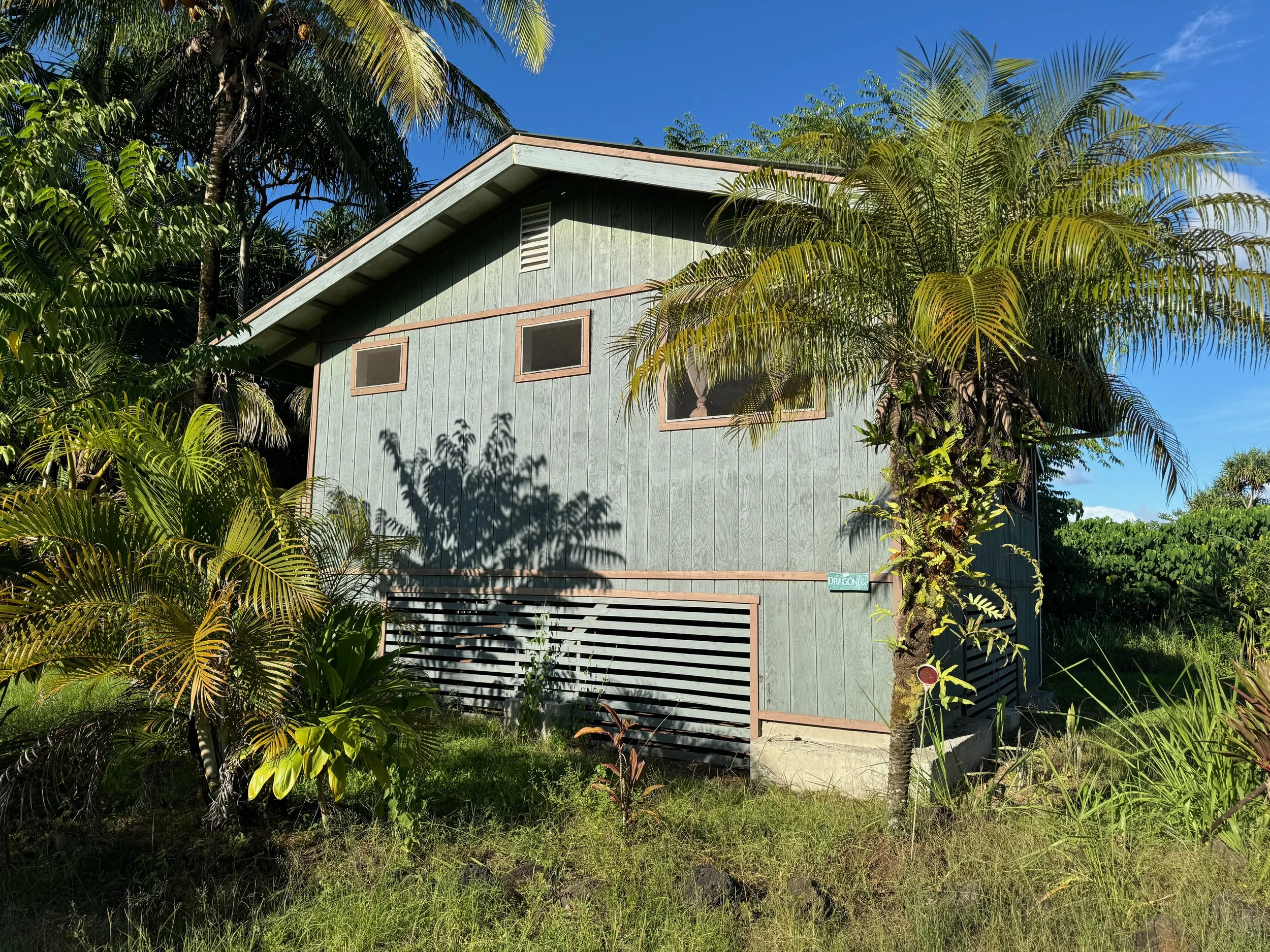 KMEC Dragonfly 1.jpeg