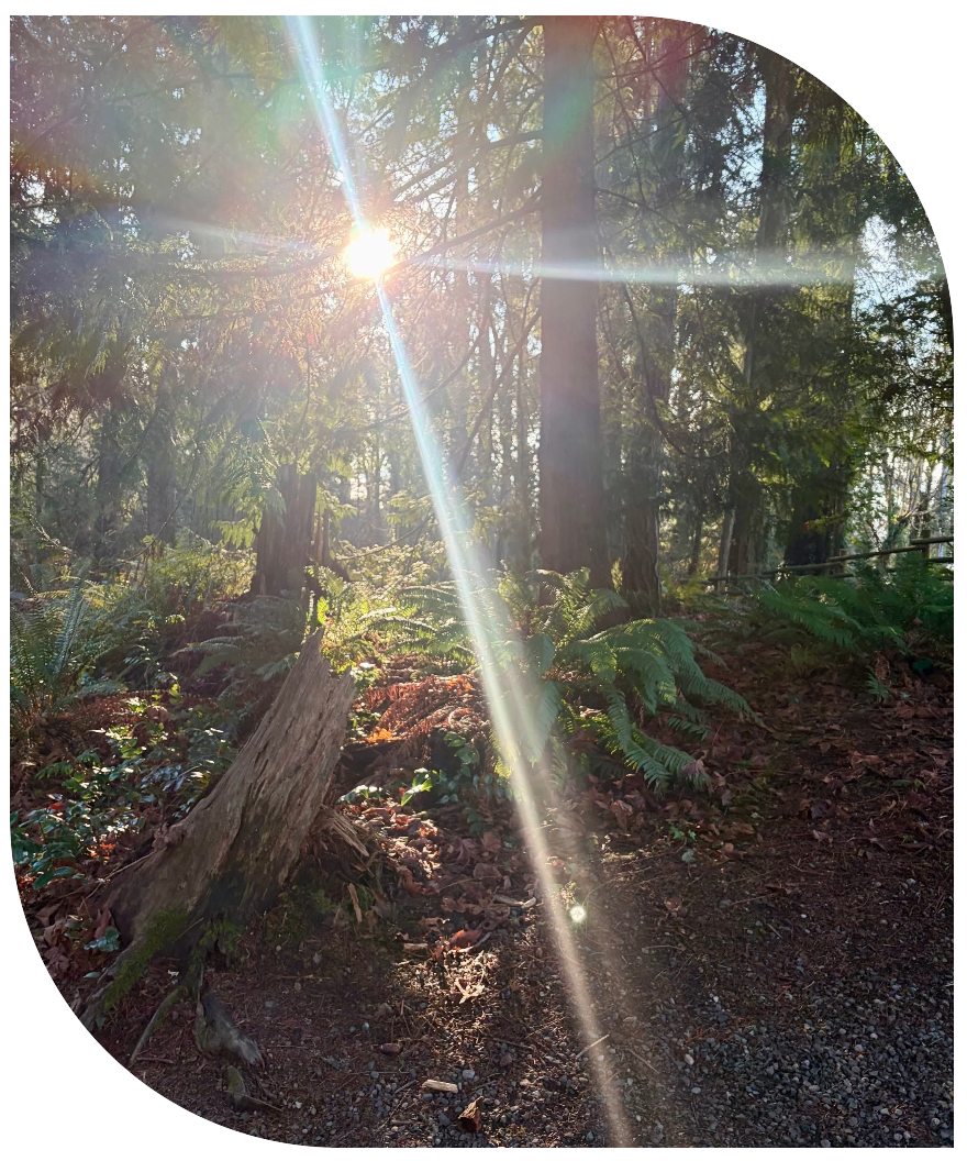 Previous applications