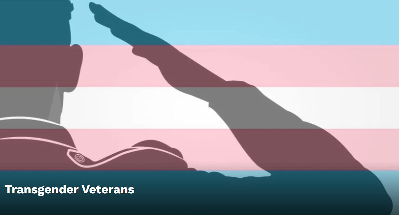 Silhouette of a person in military uniform saluting, with the transgender pride flag in the background, featuring pink, white, and blue stripes. The caption reads 'Transgender Veterans'.