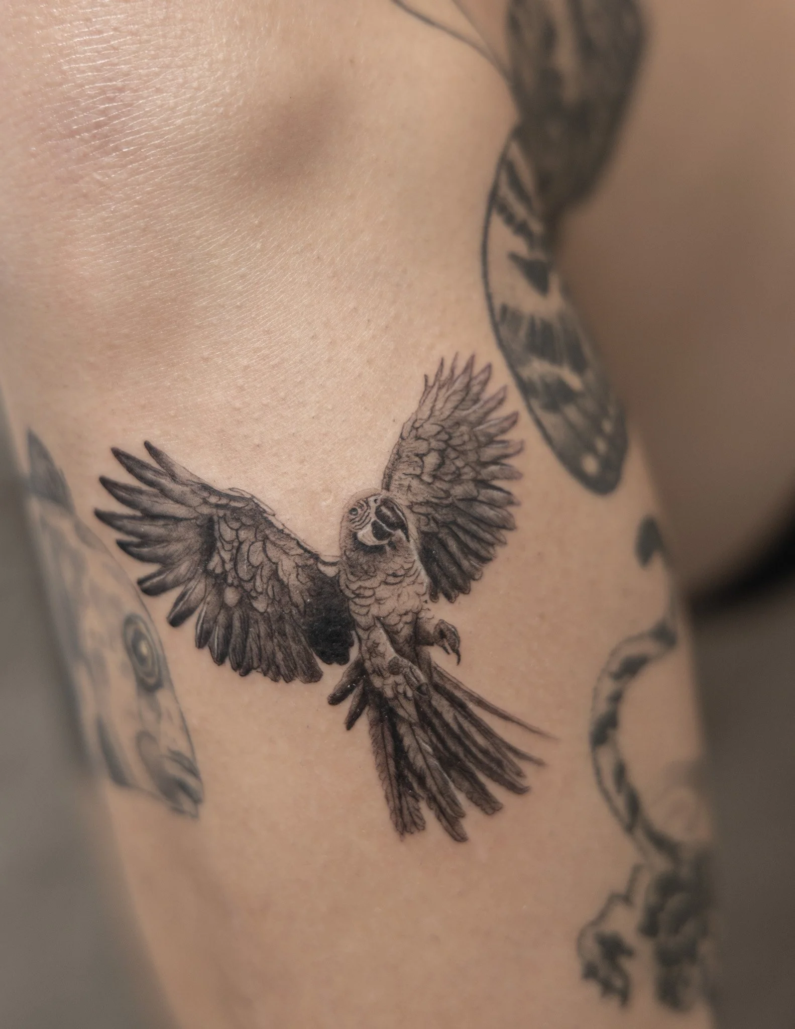 A close-up of a person's side showing a detailed black ink tattoo of a bird in flight with its wings spread wide.