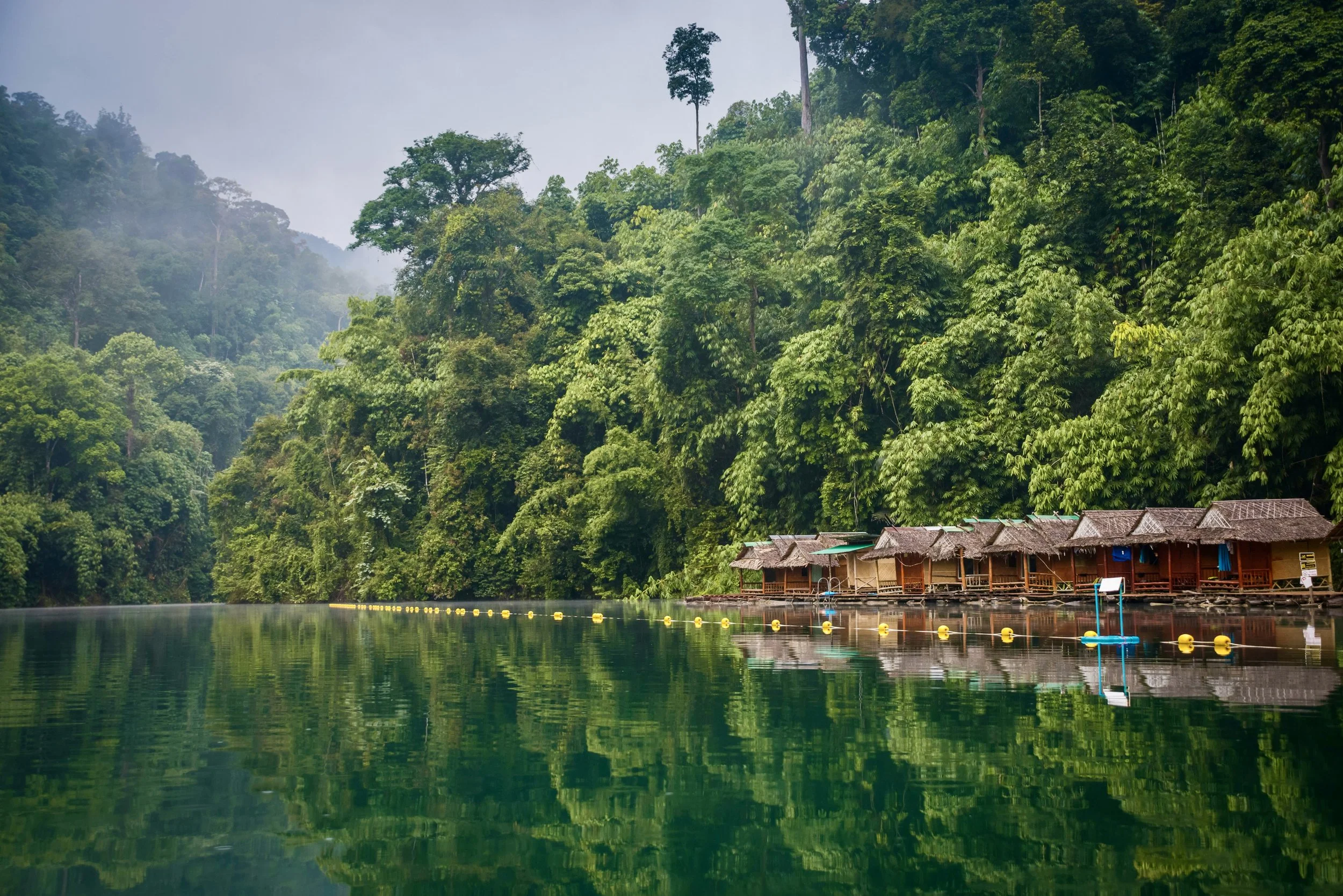 Thailand.jpg