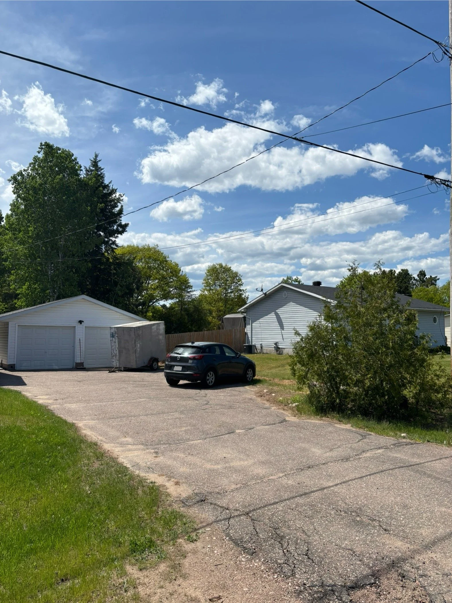 cedar removal after.jpg