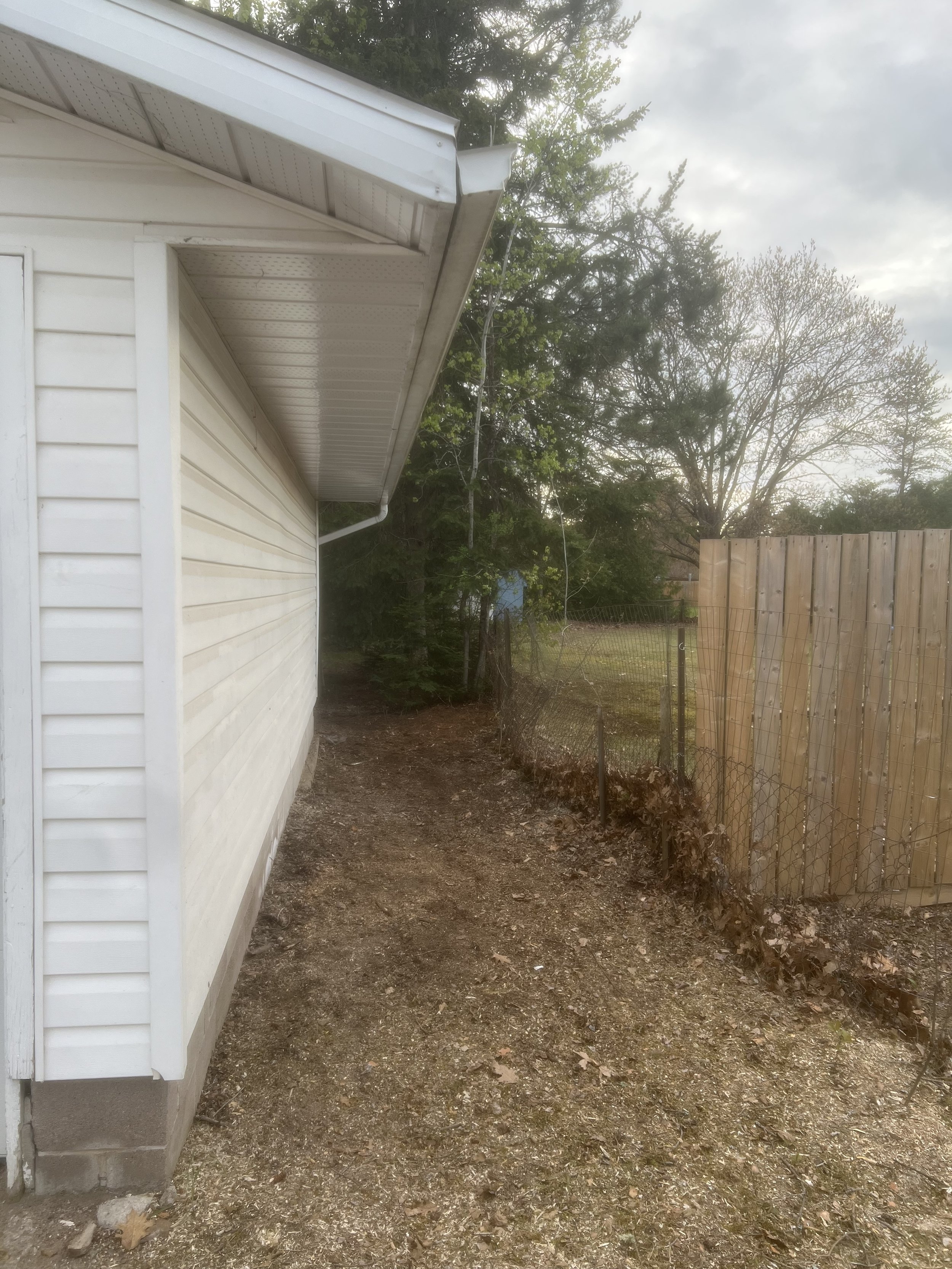 cedar removal stump grinding.jpg
