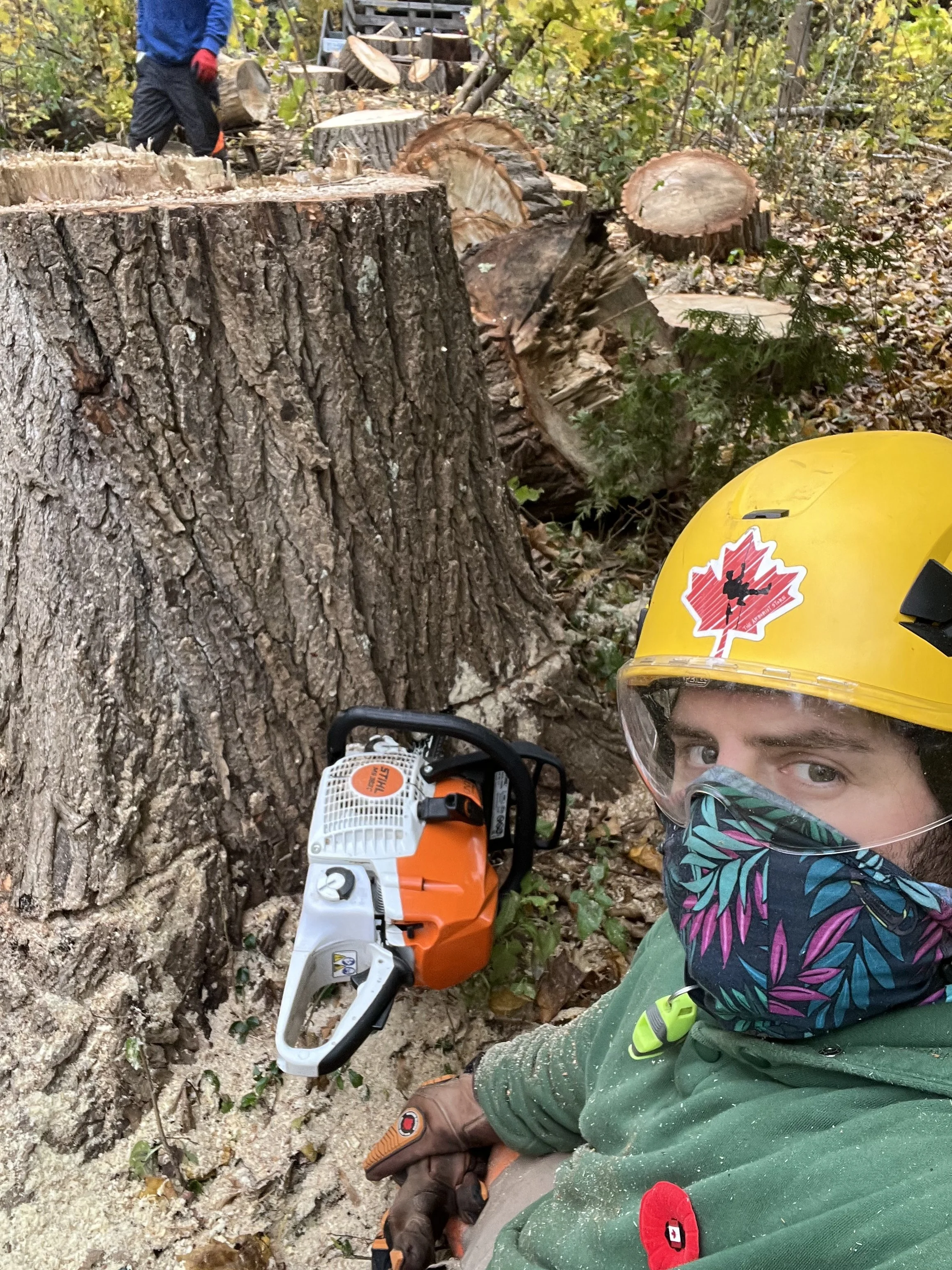 Stump selfie Eastern Cottonwood Removal.jpeg