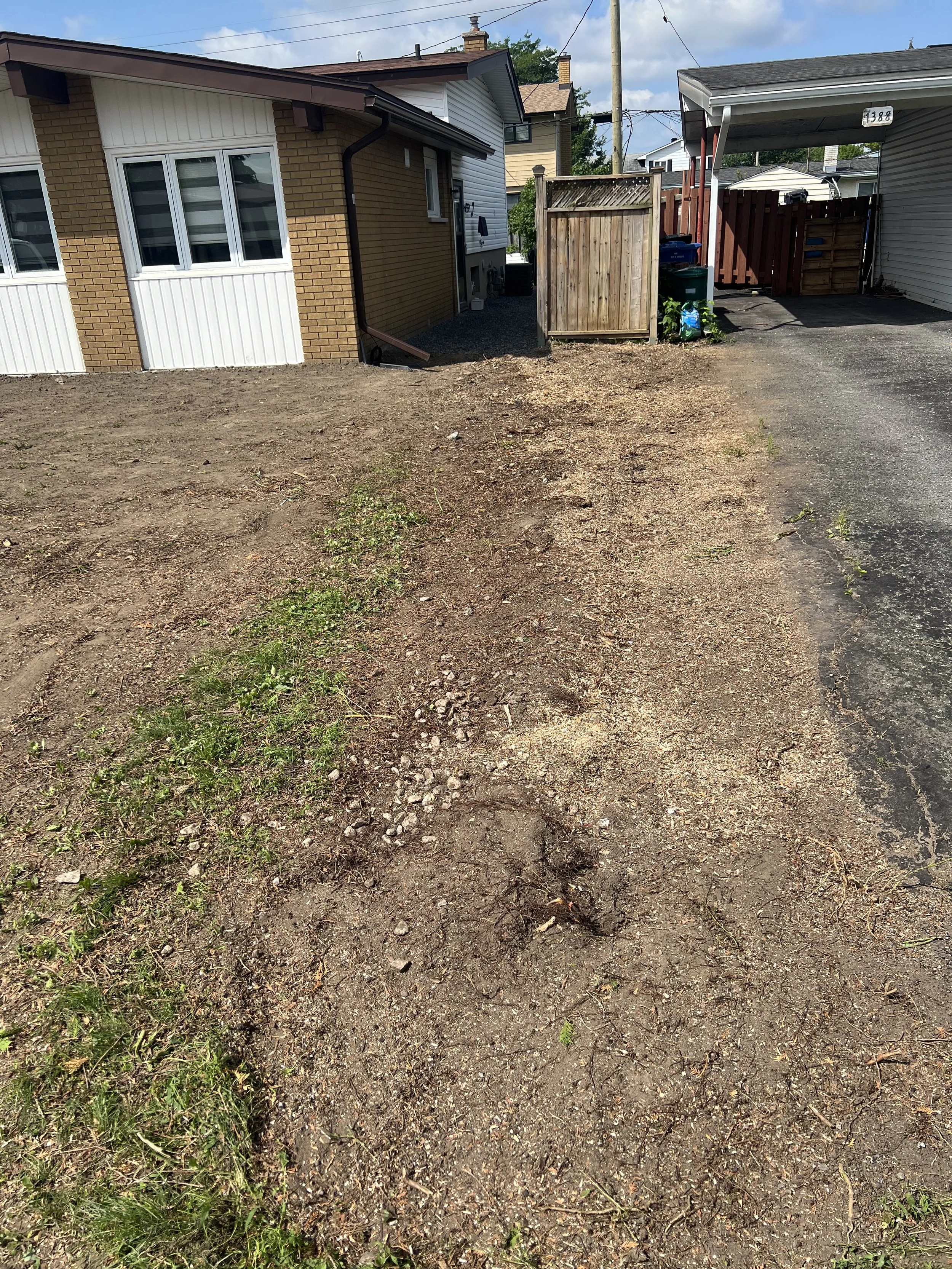 Stump grinding after.jpeg