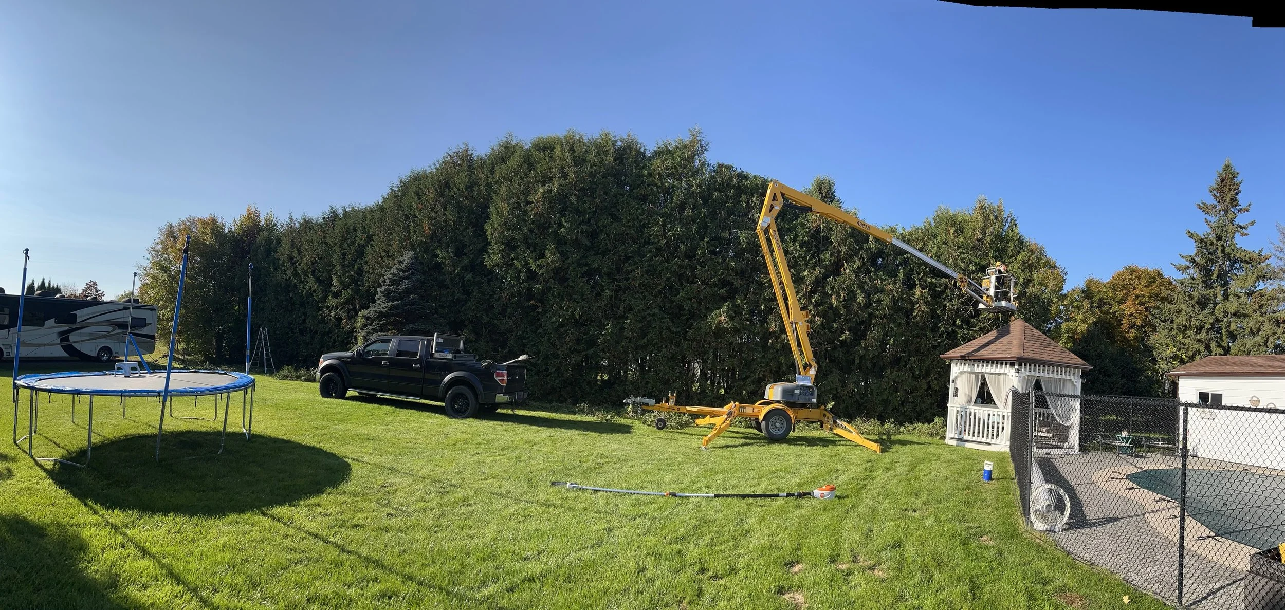 massive hedge trimming pruning arborist DURING2.jpeg
