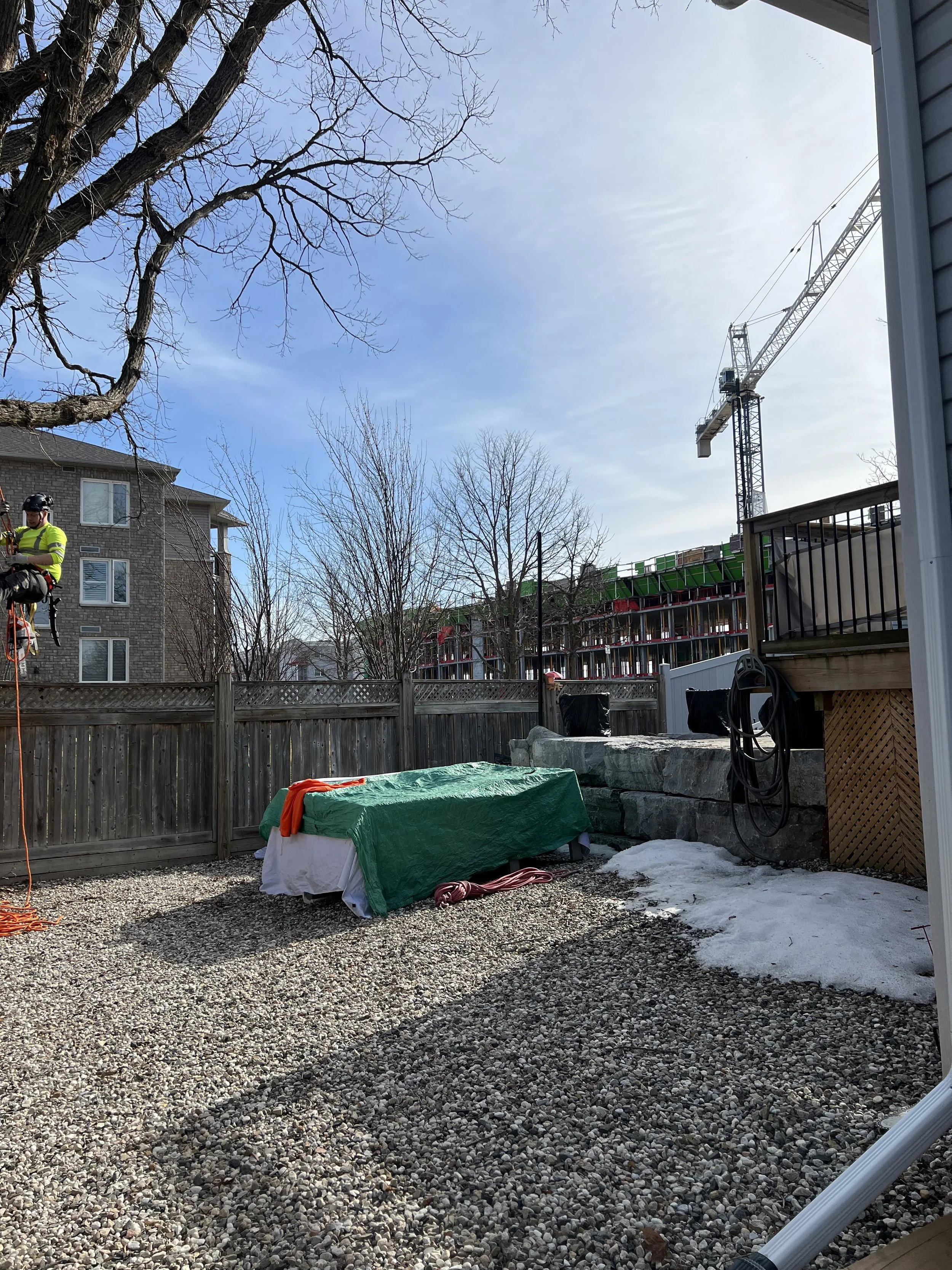 Targets and drop zone.jpeg