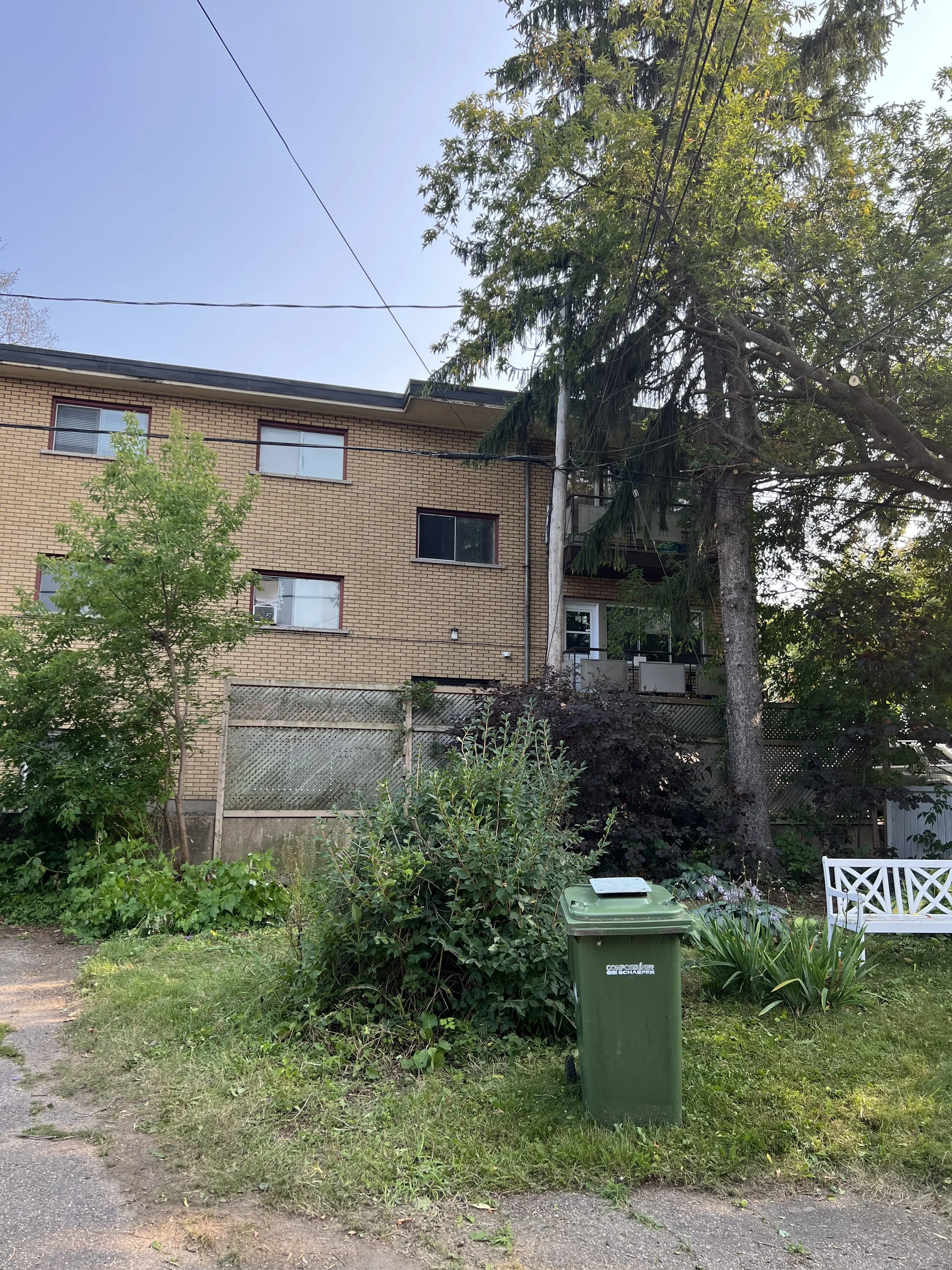 After line clearing, offspring removal, & canopy raise.jpeg