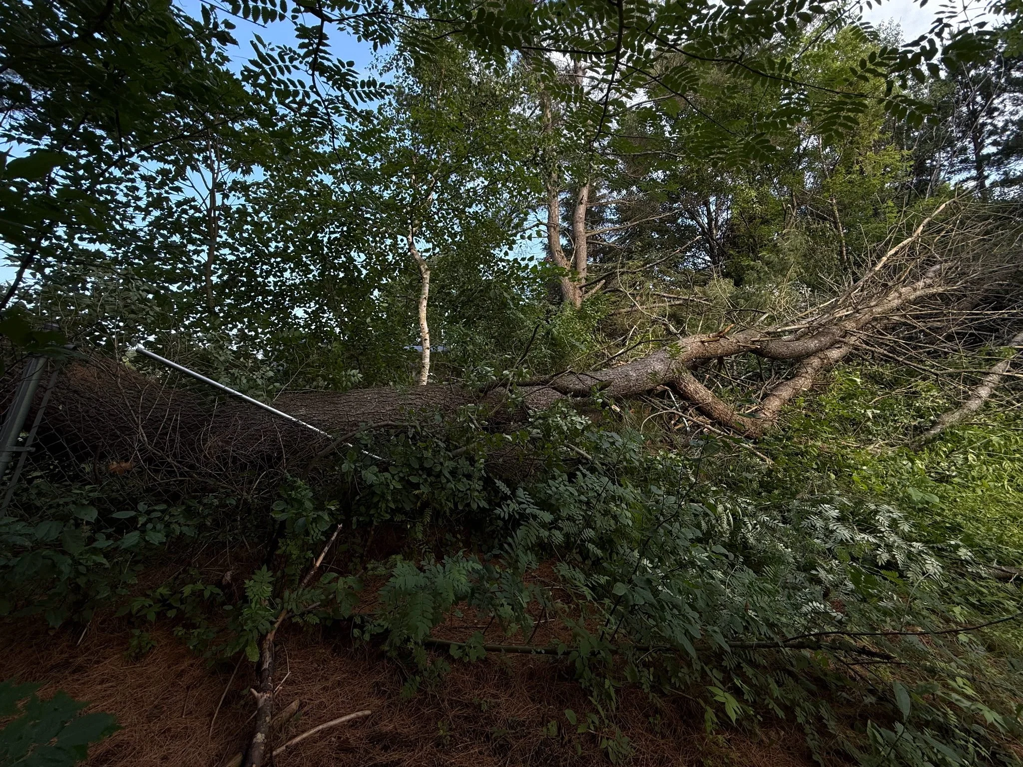 storm damage tree on fence.JPG
