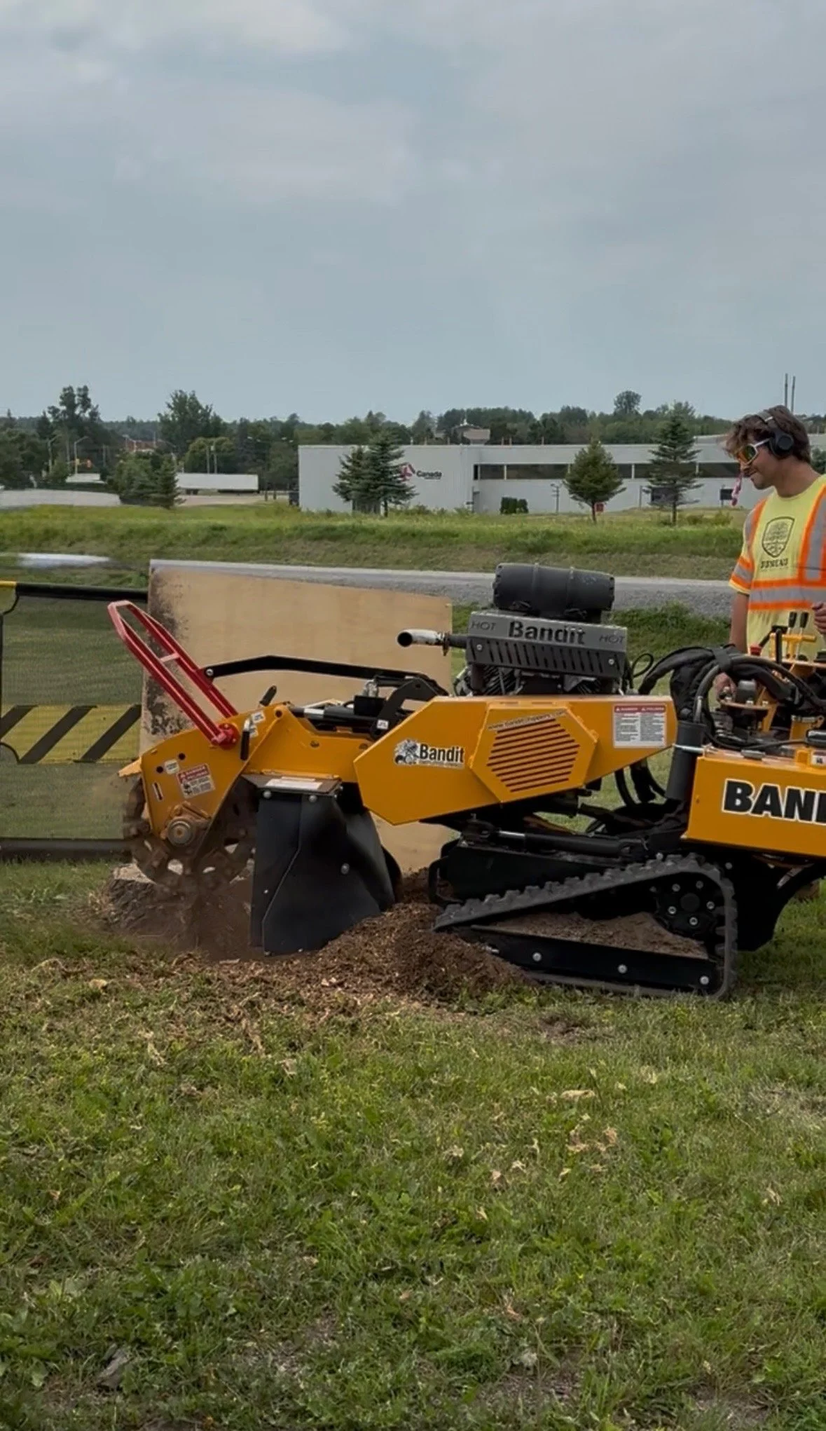 Stump grinding.jpeg