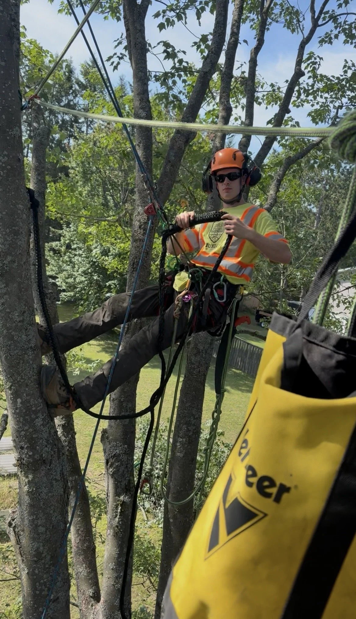 arborist install dynamic cable.jpg