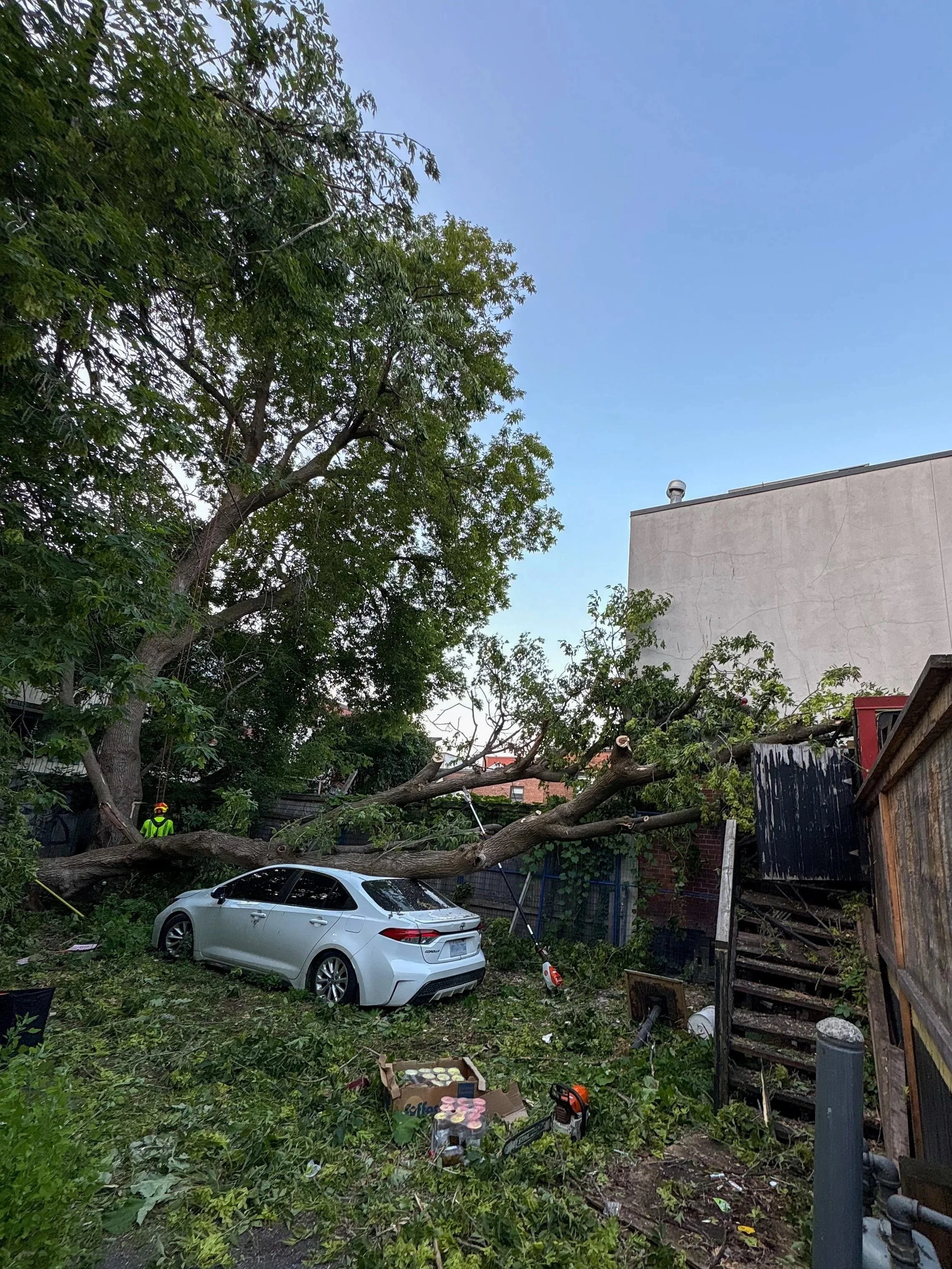 A large tree has fallen onto a silver car in a yard, causing significant damage. Debris, including branches and other objects, is scattered around the area. A person wearing a helmet and reflective jacket is visible near the tree.
