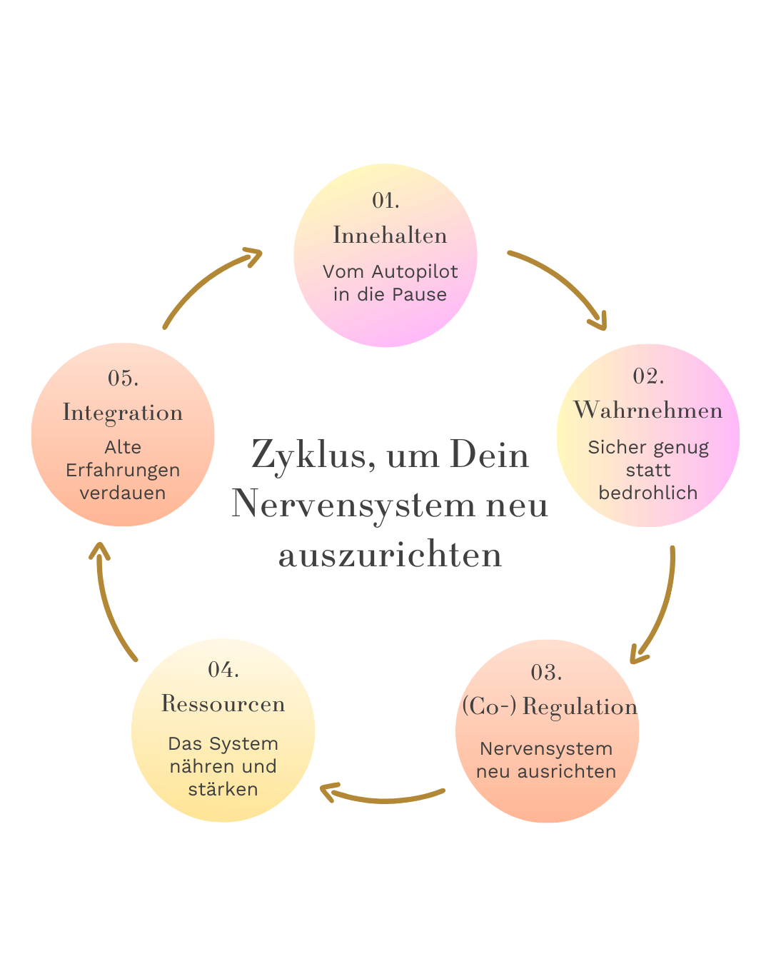 Zyklus, um Dein Nervensystem neu auszurichten
