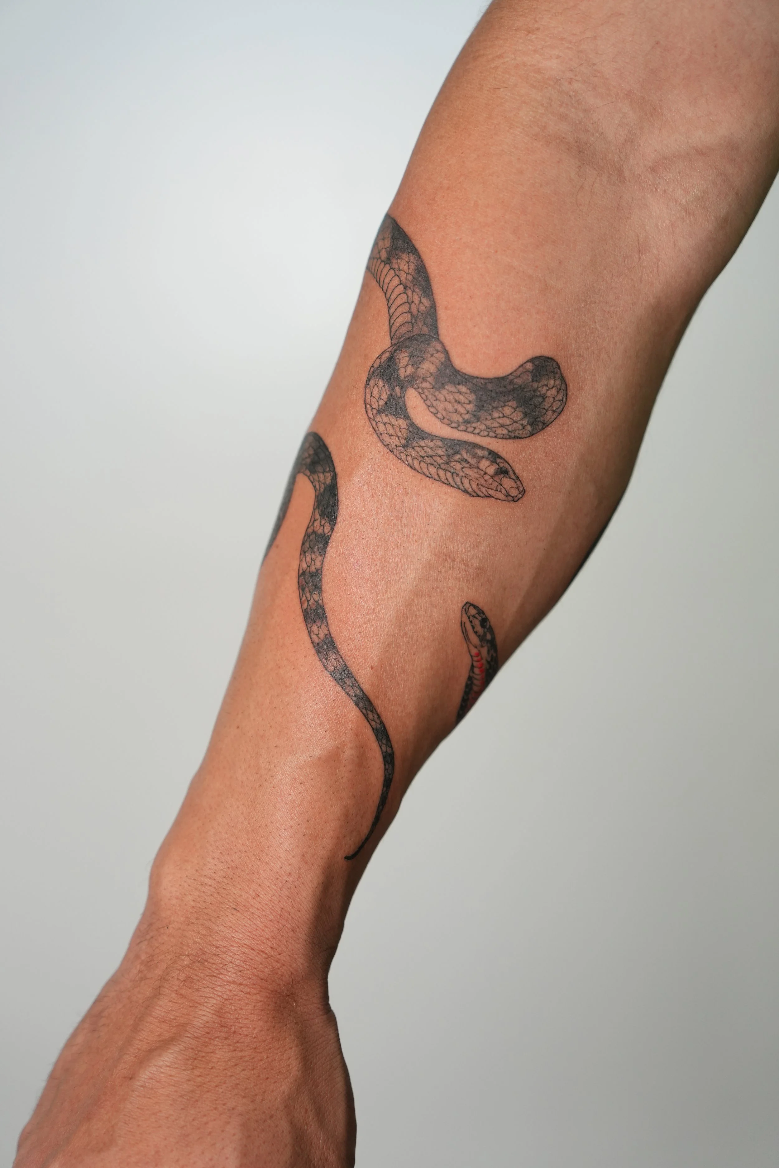 Tattoo of a black and gray snake on a person's forearm.