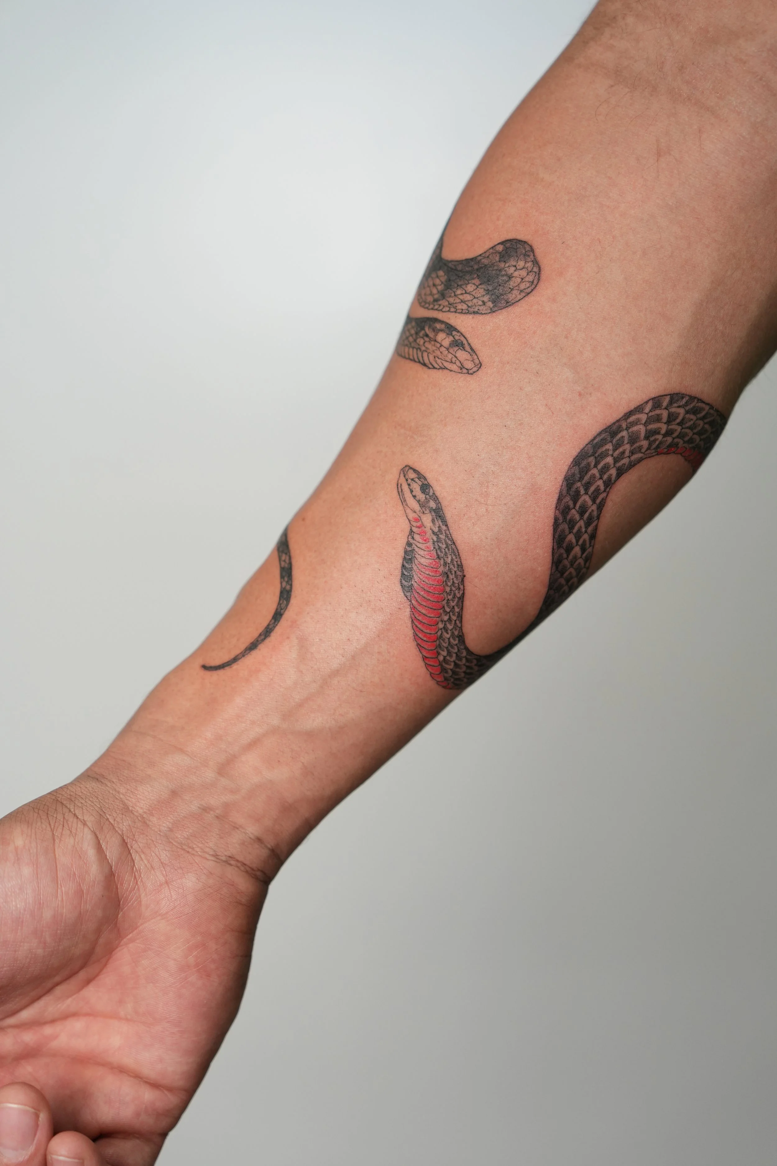 Tattooed forearm with snakes in black and red ink.