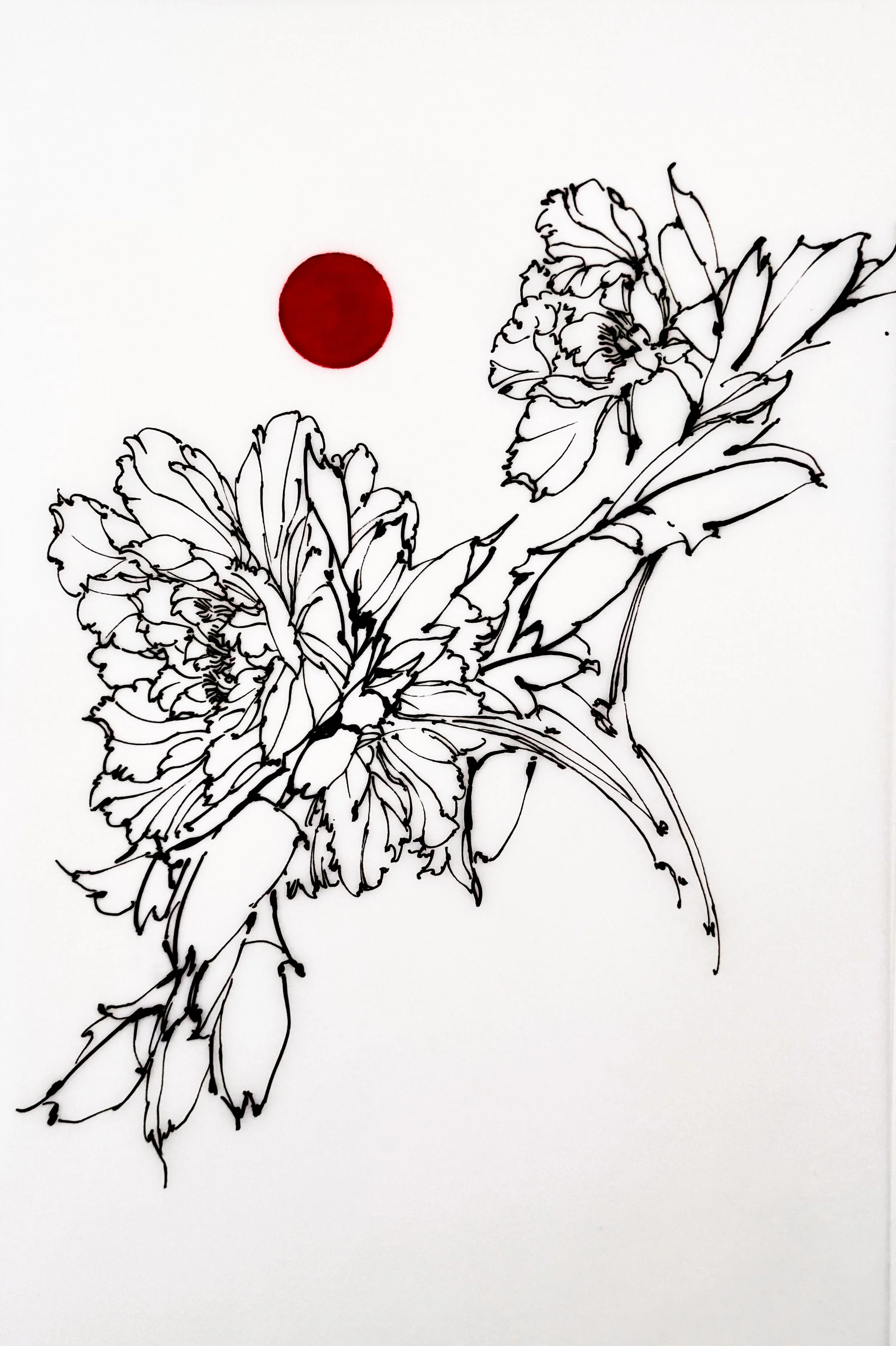 Black and white line drawing of a flower with a red circle above it on a white background.