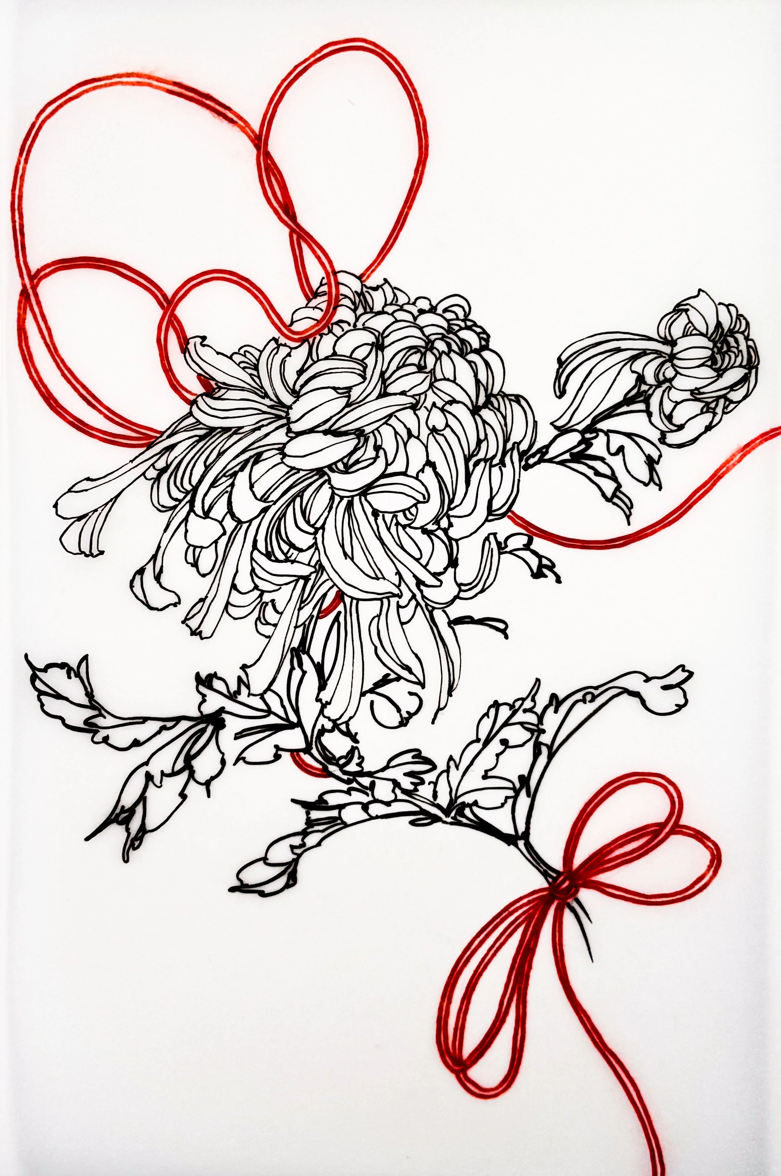 Black and white line drawing of a chrysanthemum with two red ribbons tied in bows, one on top and one at the bottom.