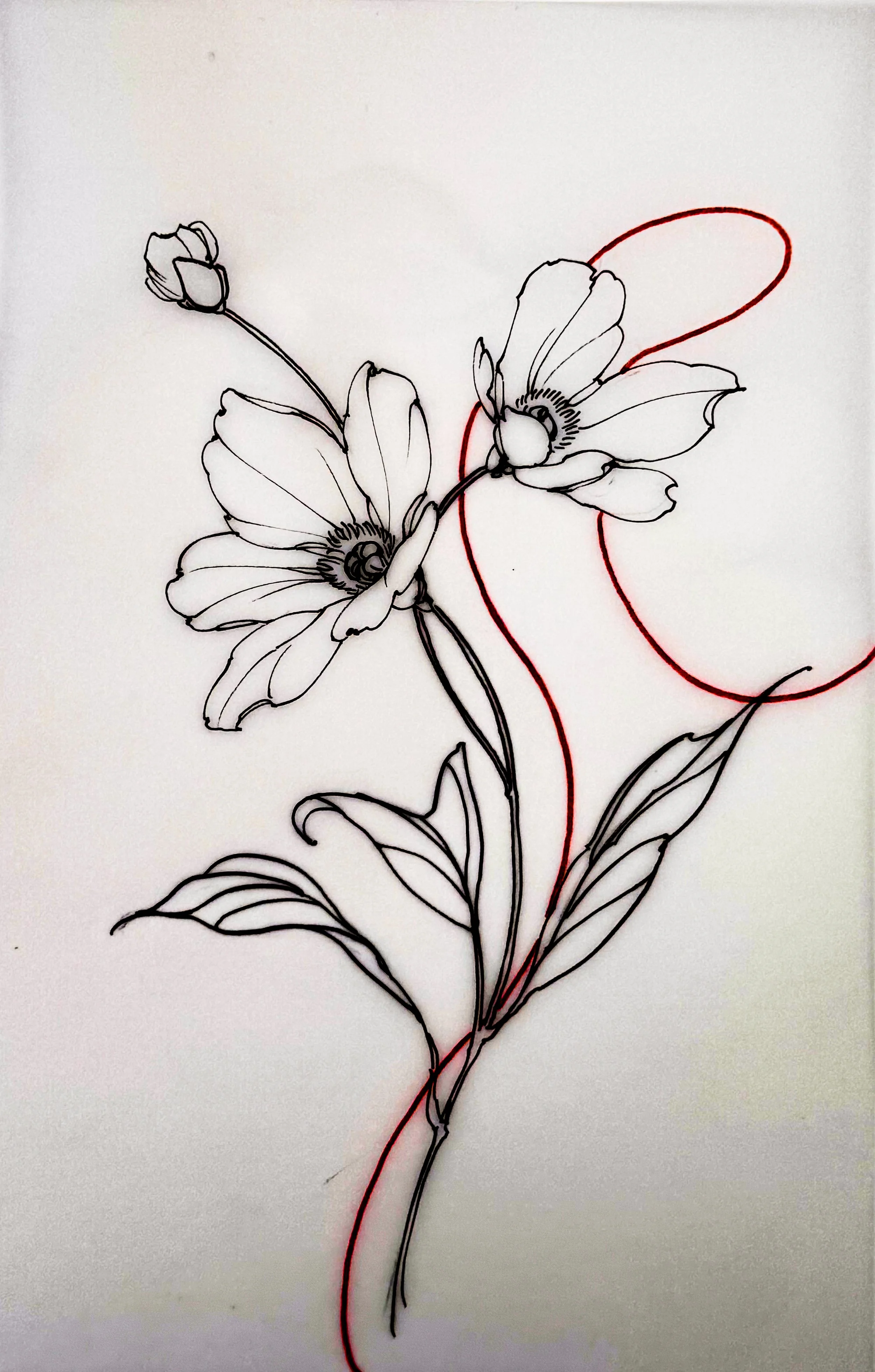 A line drawing of two flowers with leaves, with red lines depicting a butterfly's wings.