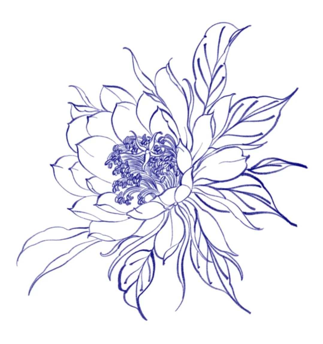 Line drawing of a large peony flower with detailed petals and leaves.