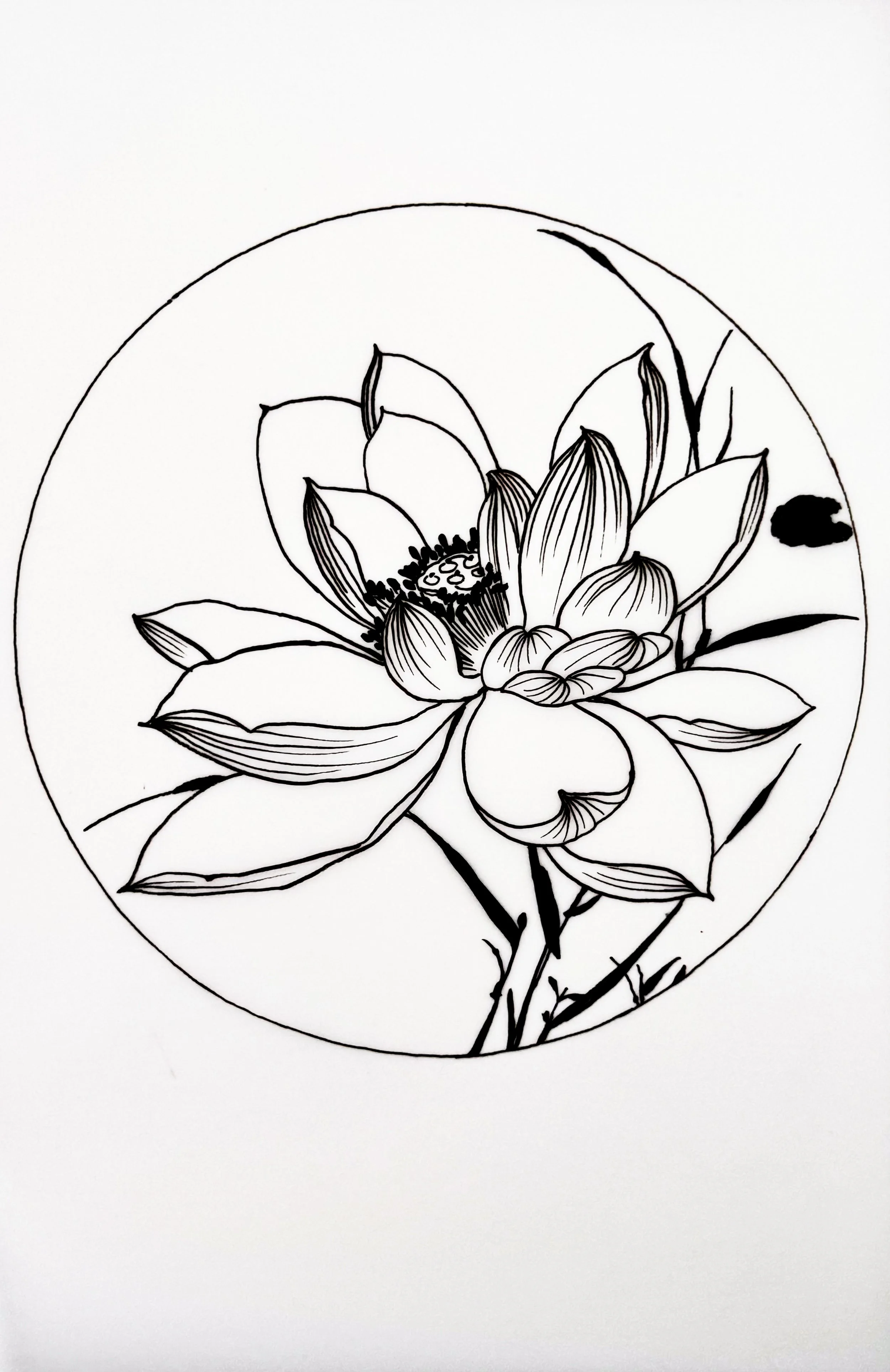 Black and white line drawing of a blooming flower, possibly a lotus, within a circular frame.