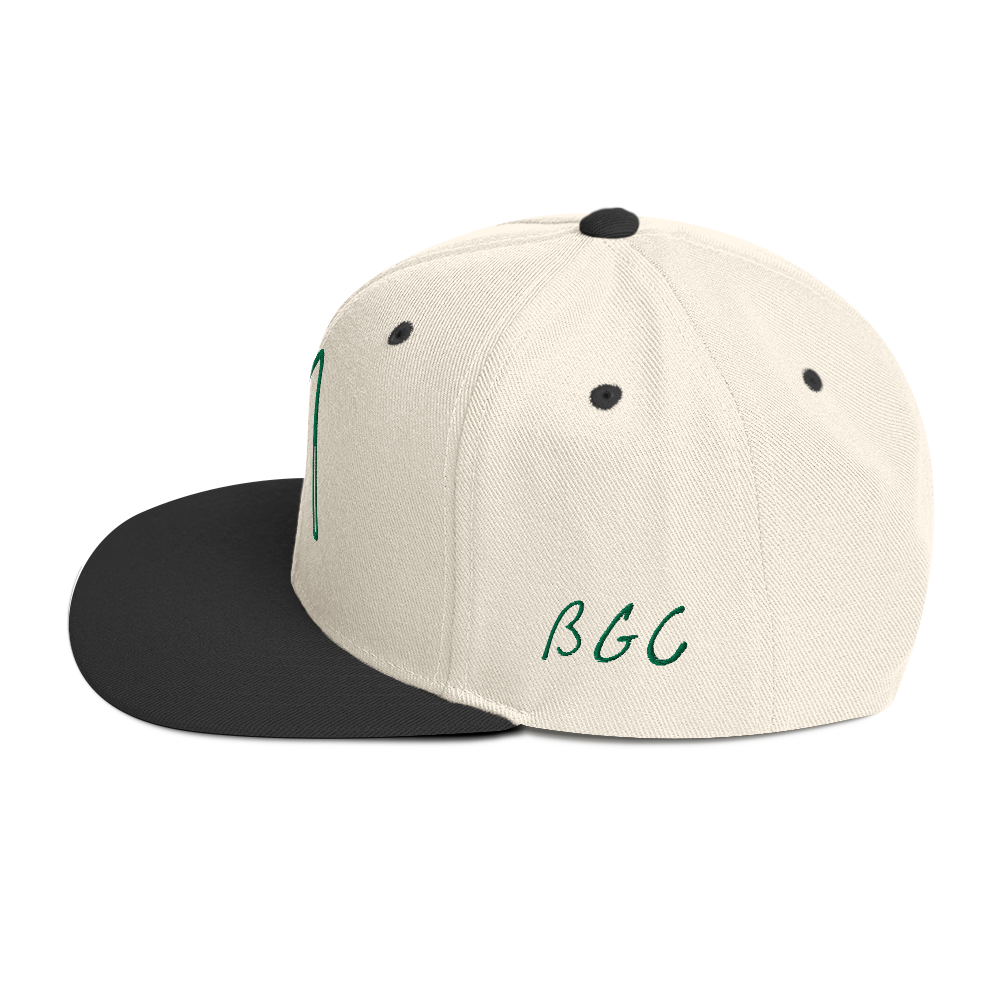 classic-snapback-natural-black-left-side-6670f44114d90.png