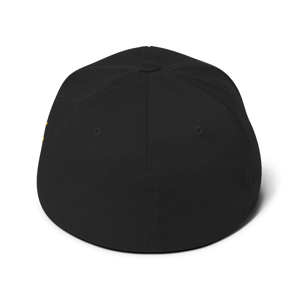 closed-back-structured-cap-black-back-6671e92bcfa3b.png