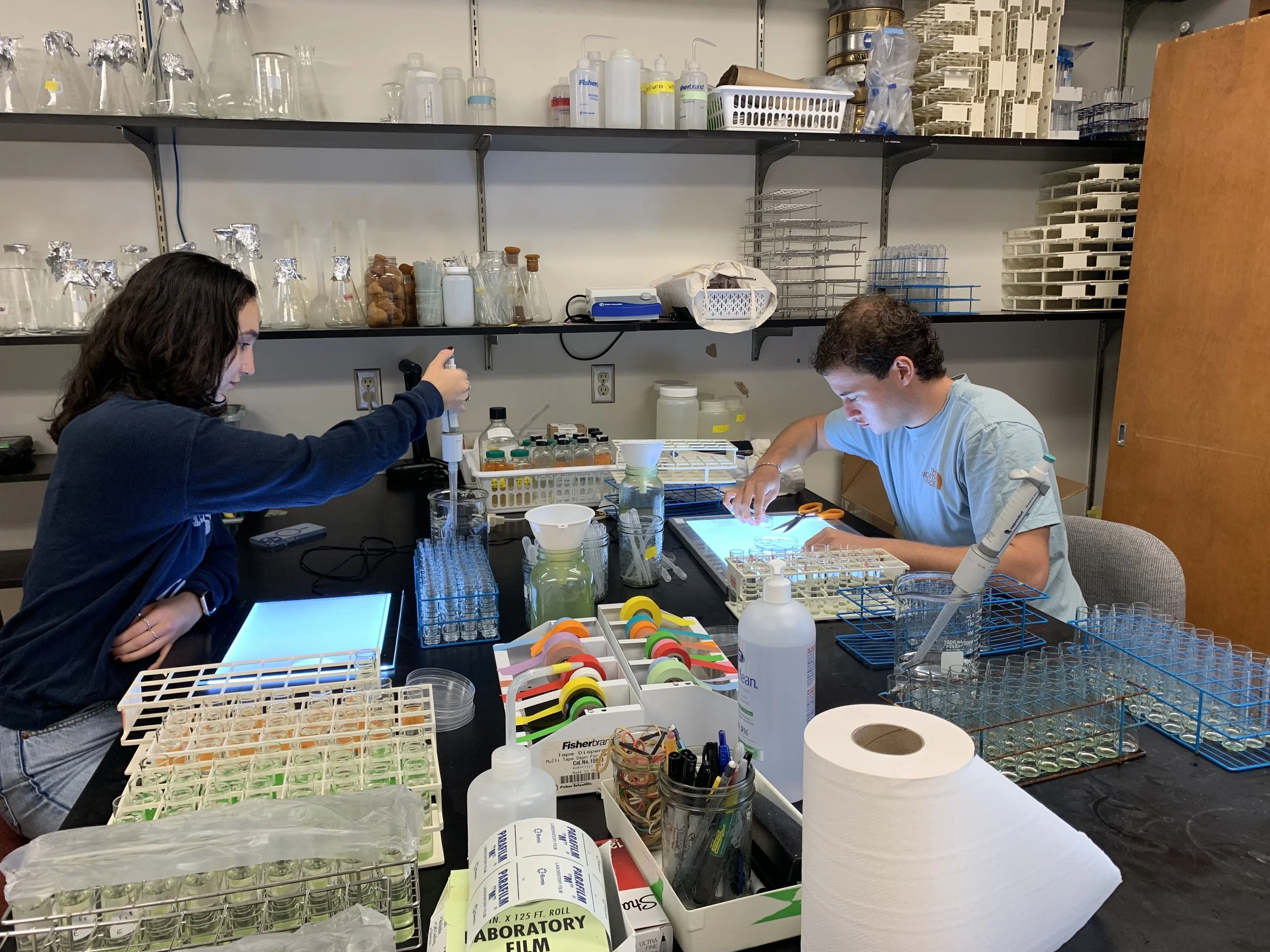 Students conducting research in the Arnott Lab