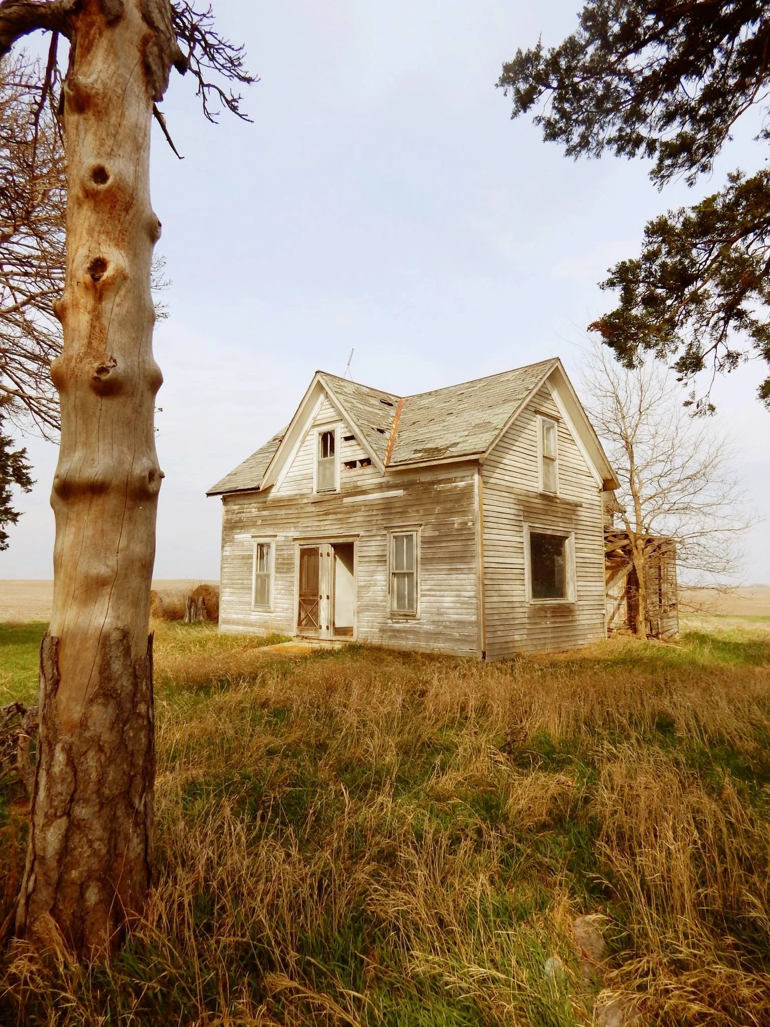 An abandoned, weathered two-story house with peeling paint, surrounded by tall grass and trees, under a cloudy sky.