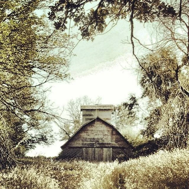 A rustic wooden barn surrounded by tall grass and trees with sparse leaves, under a partly cloudy sky.