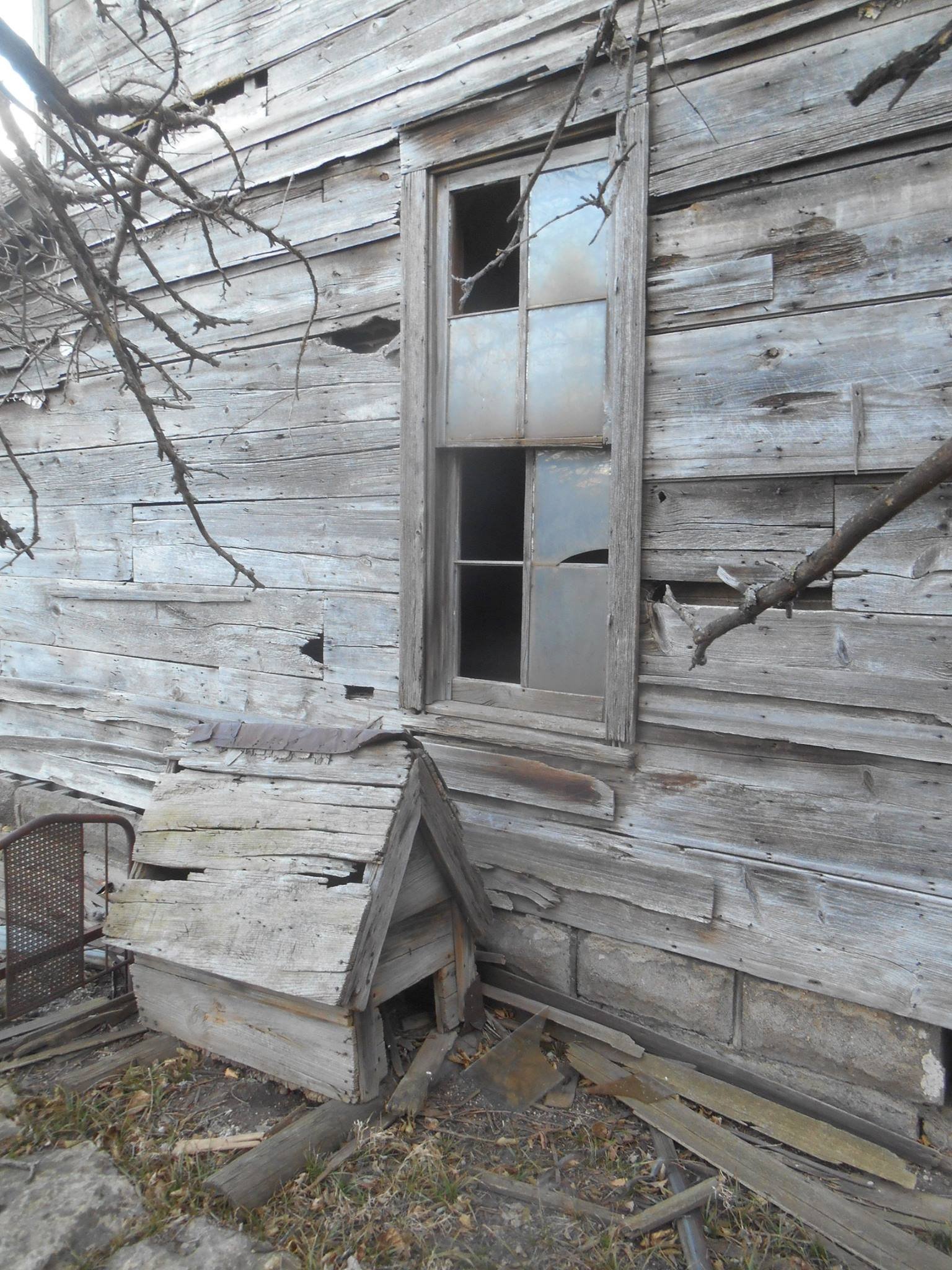 An old, weathered wooden house wall with broken window panes and a small, dilapidated doghouse with a damaged roof in front.