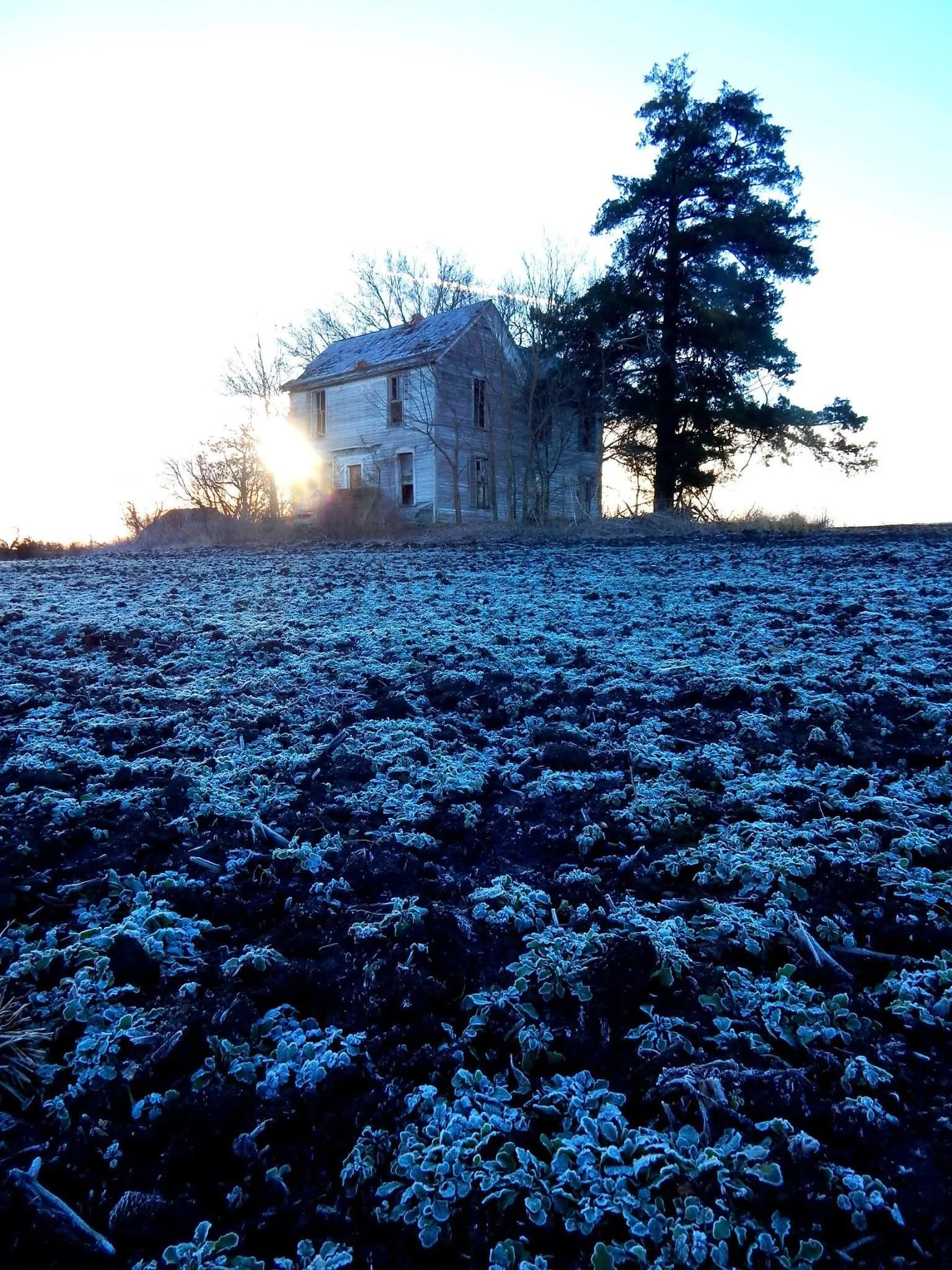The frosted tundra of Central Nebraska.