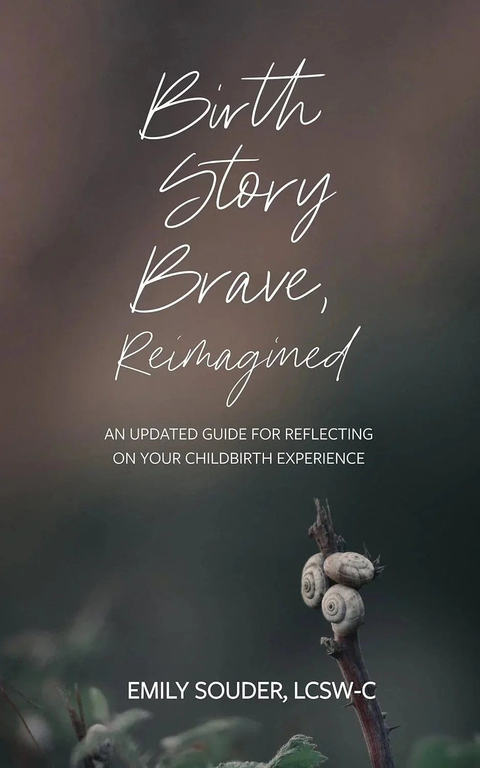 Birth Story Brave, Reimagined