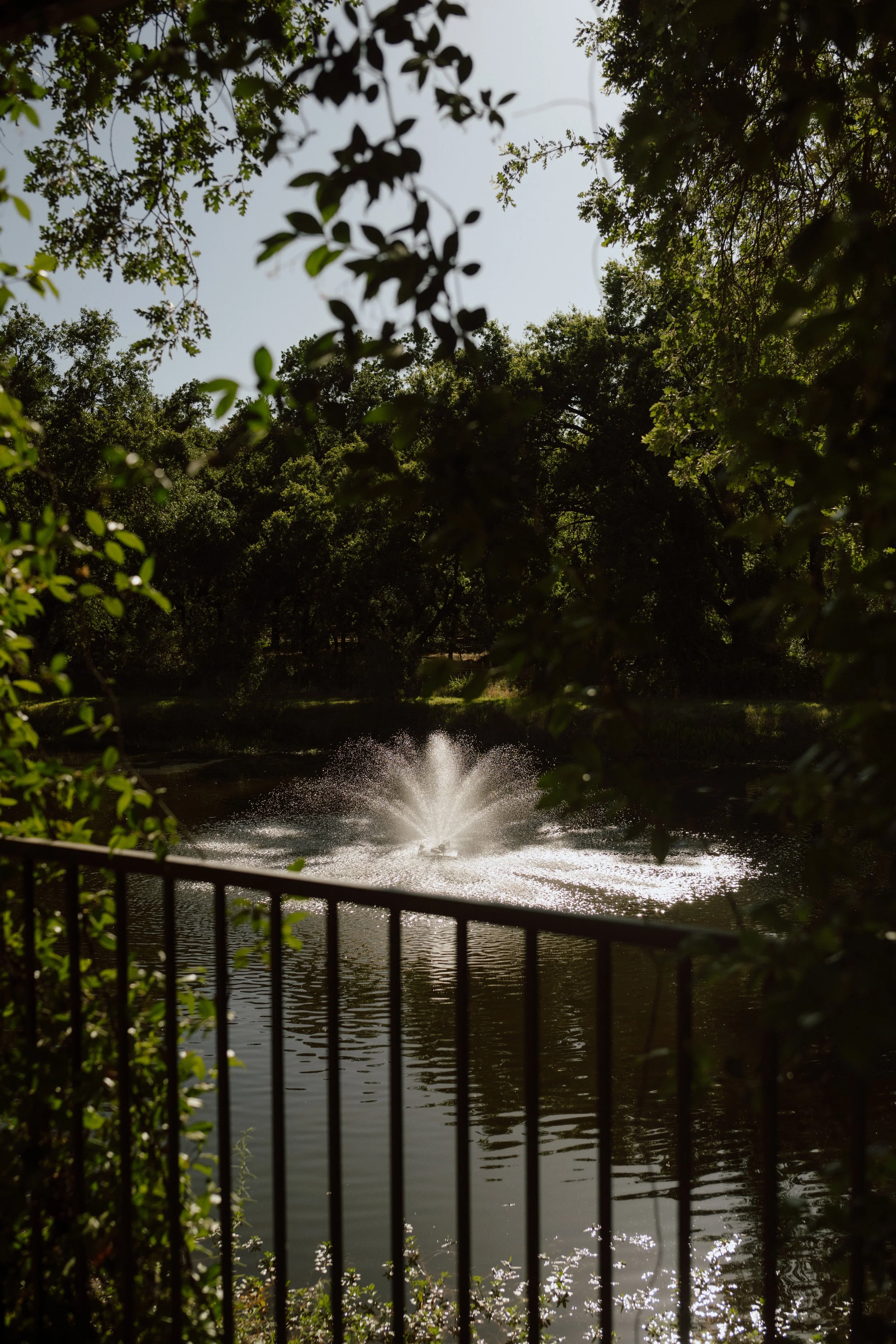 DSC_4358.jpg