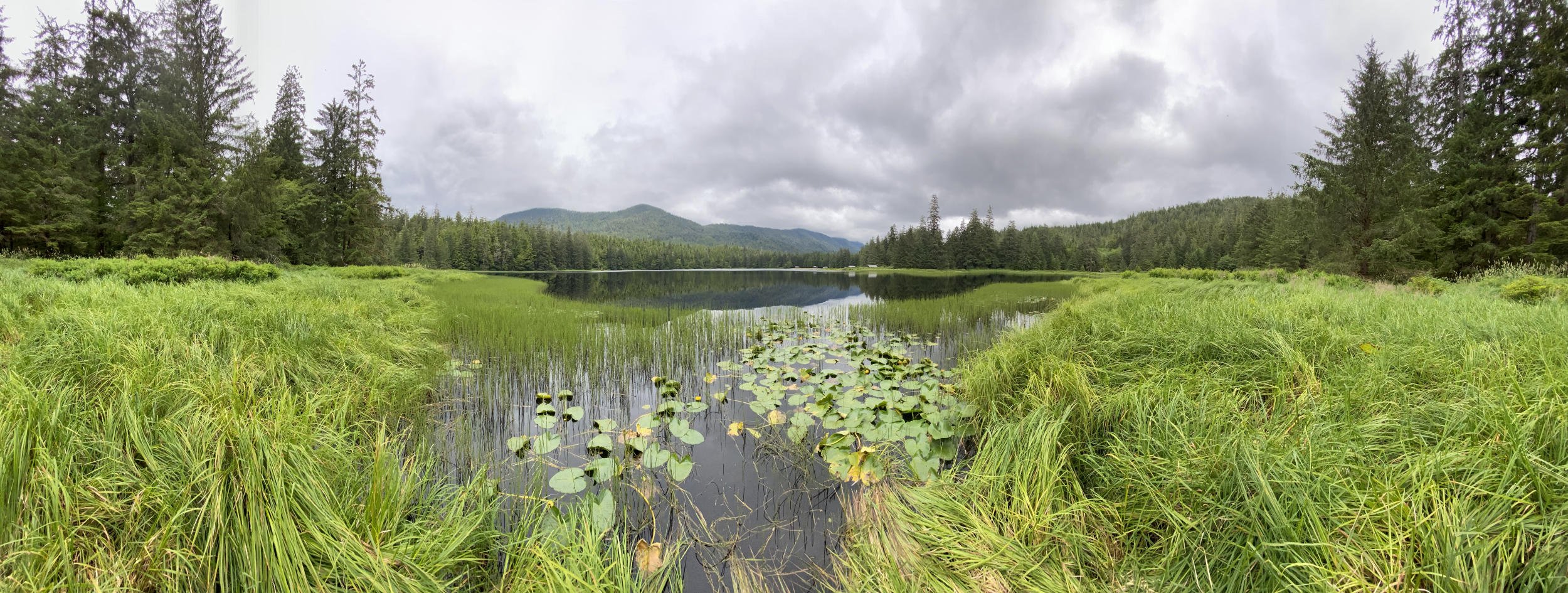 Ward Lake near Kechikan